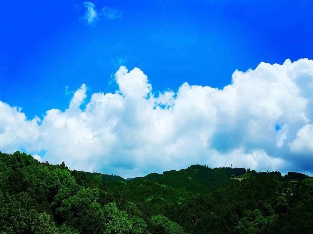 Natural landscape in LiVEMAX RESORT Ito Kawana