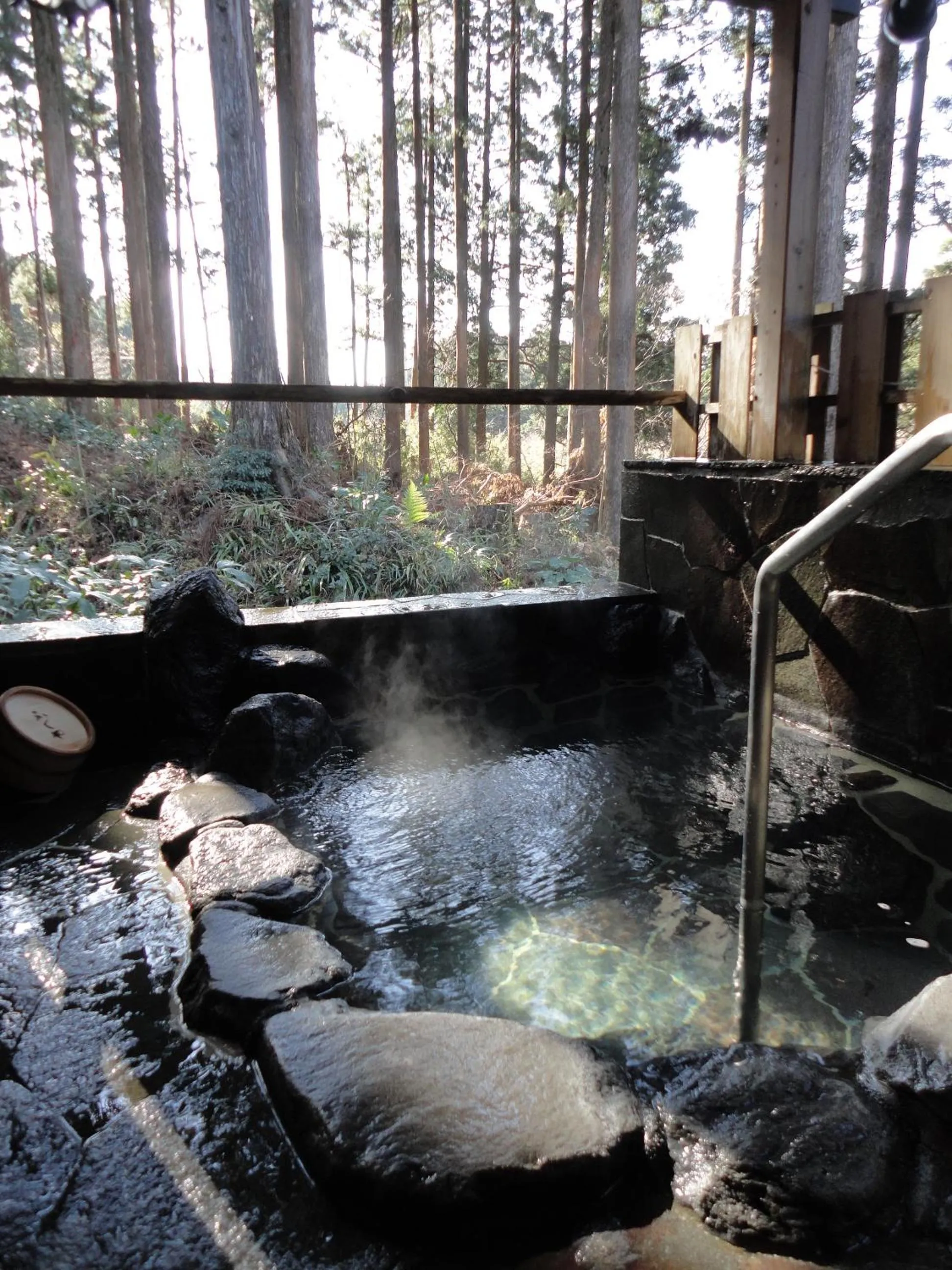 Hot Spring Bath in Hananoyado Fukuya