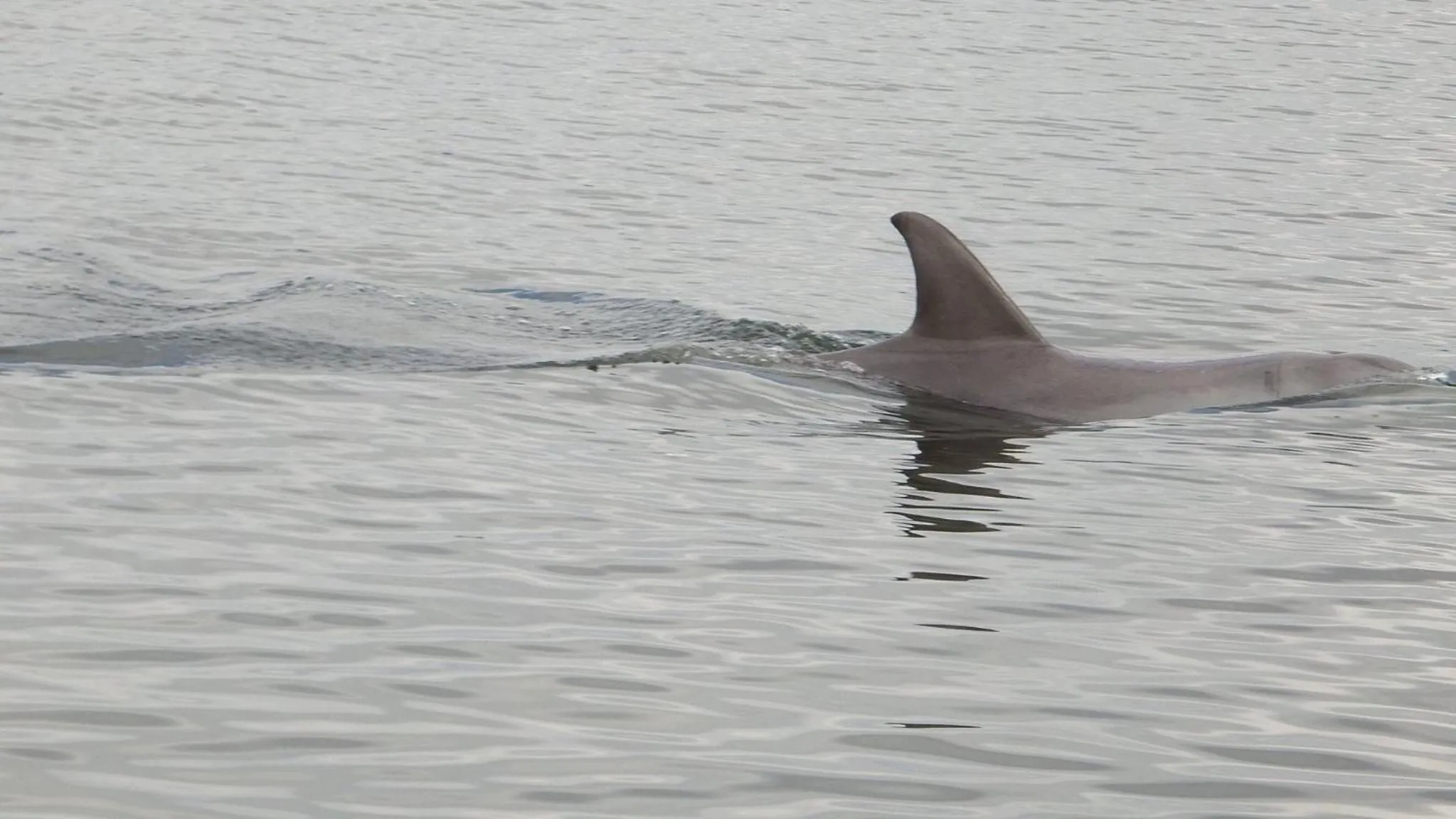 Off site in Australind Tourist Park