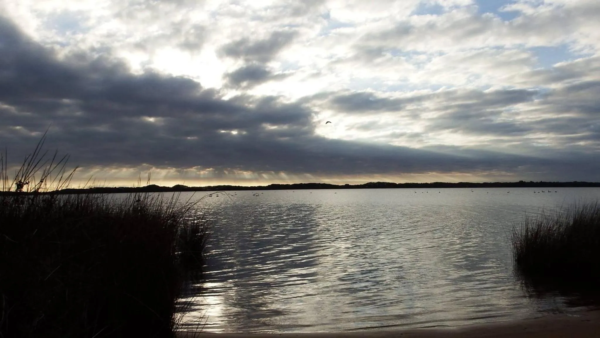 Natural landscape in Australind Tourist Park
