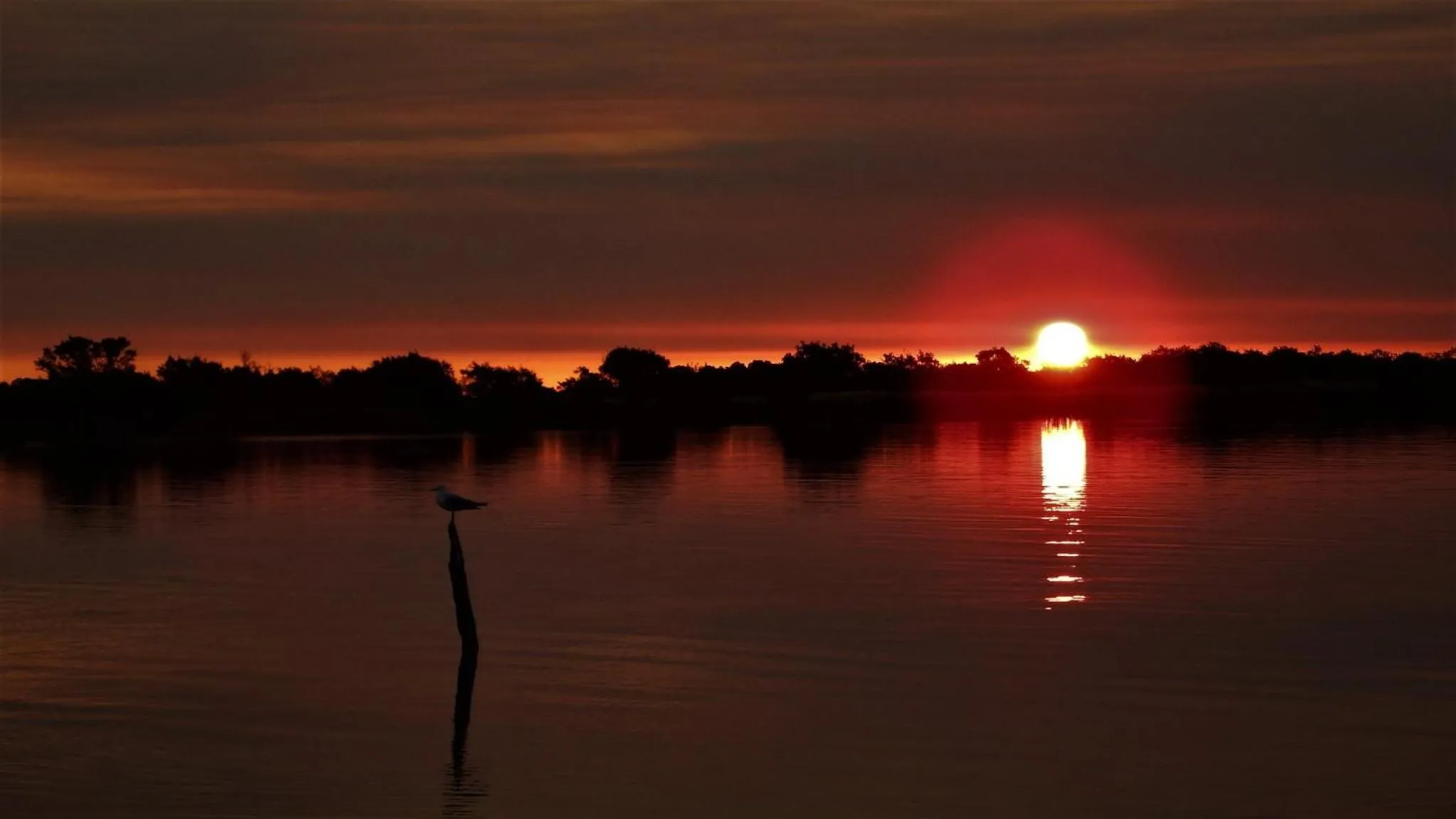 View (from property/room) in Australind Tourist Park