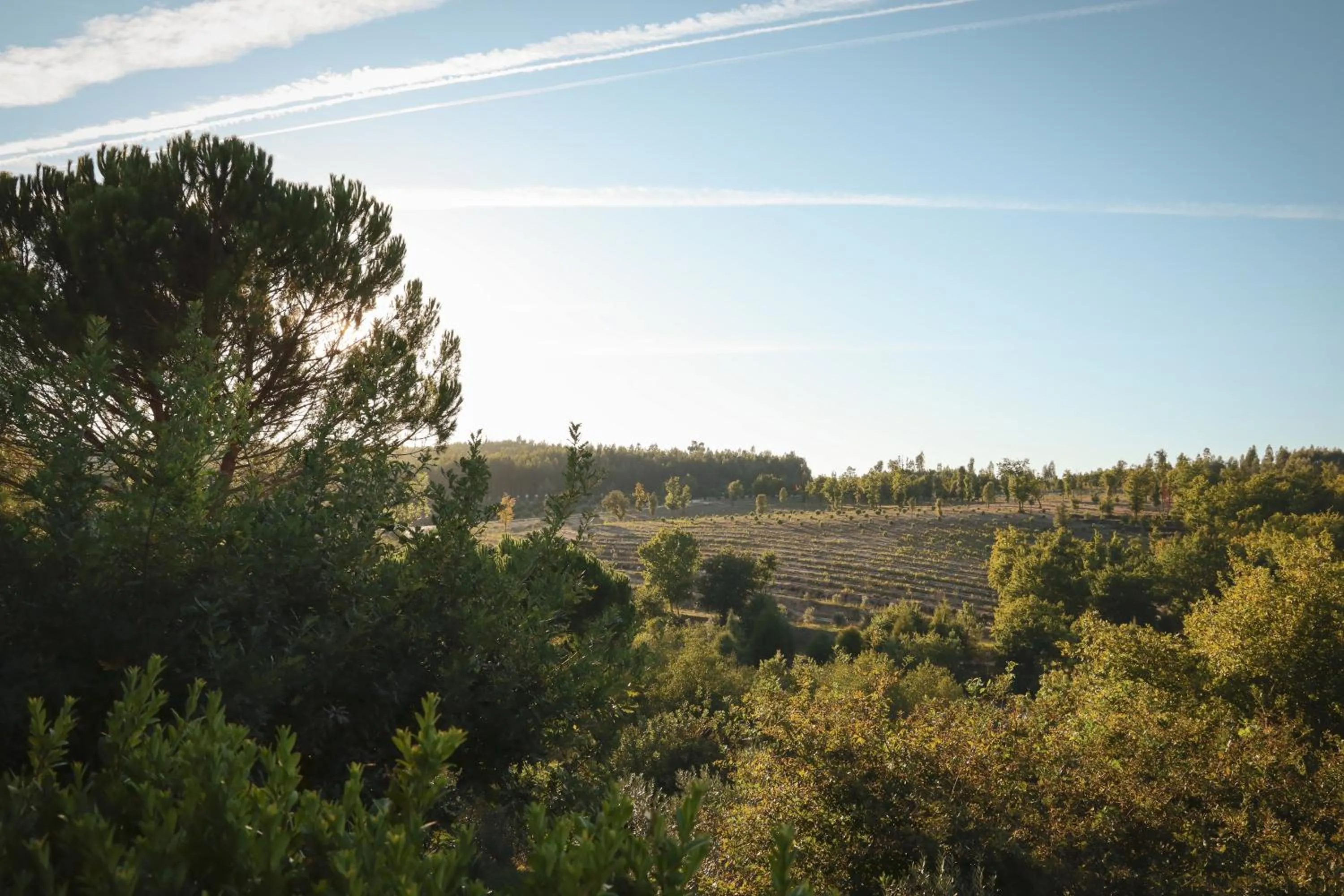 Natural landscape in I Love Dão Casas Da Fraga