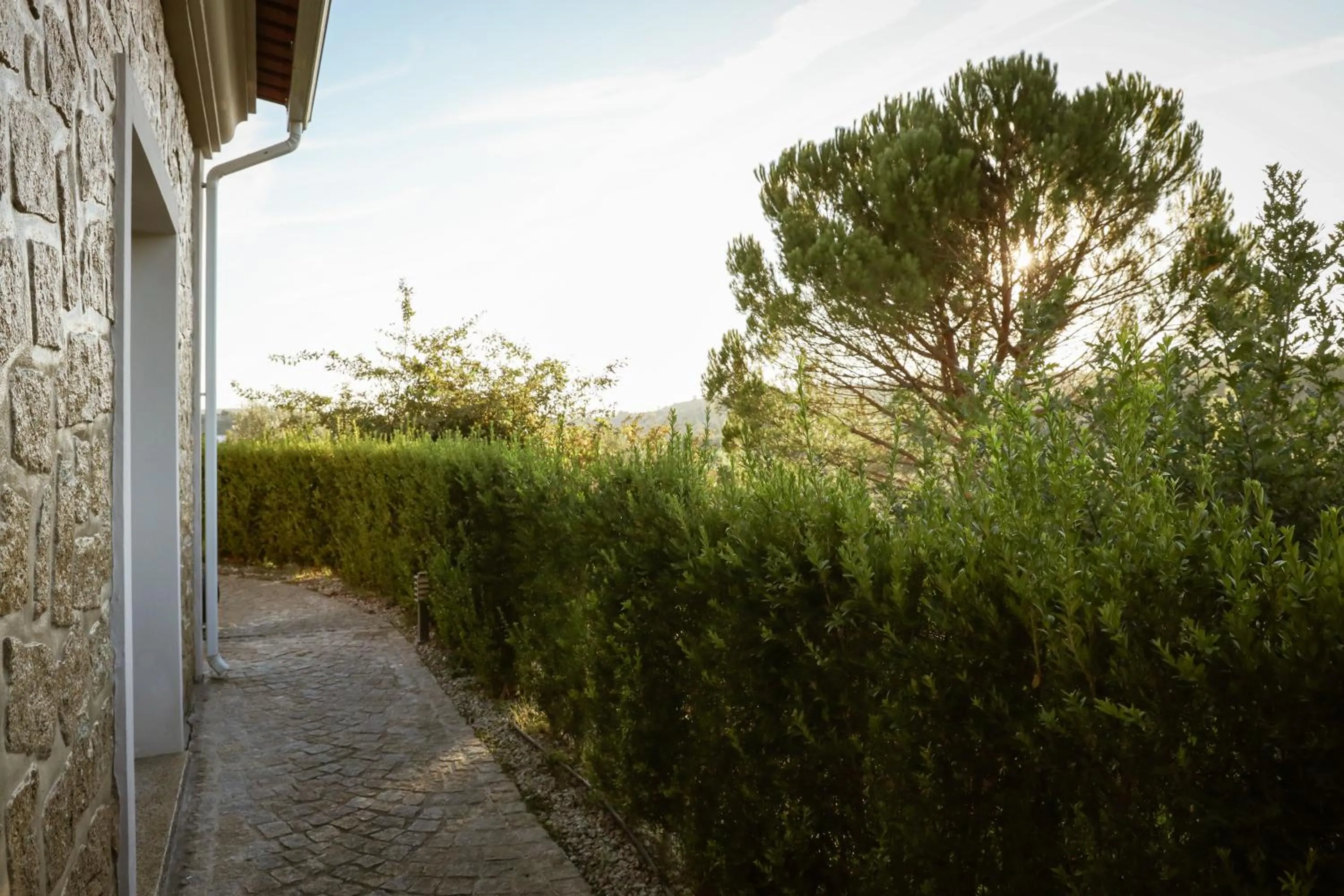 Garden view in I Love Dão Casas Da Fraga