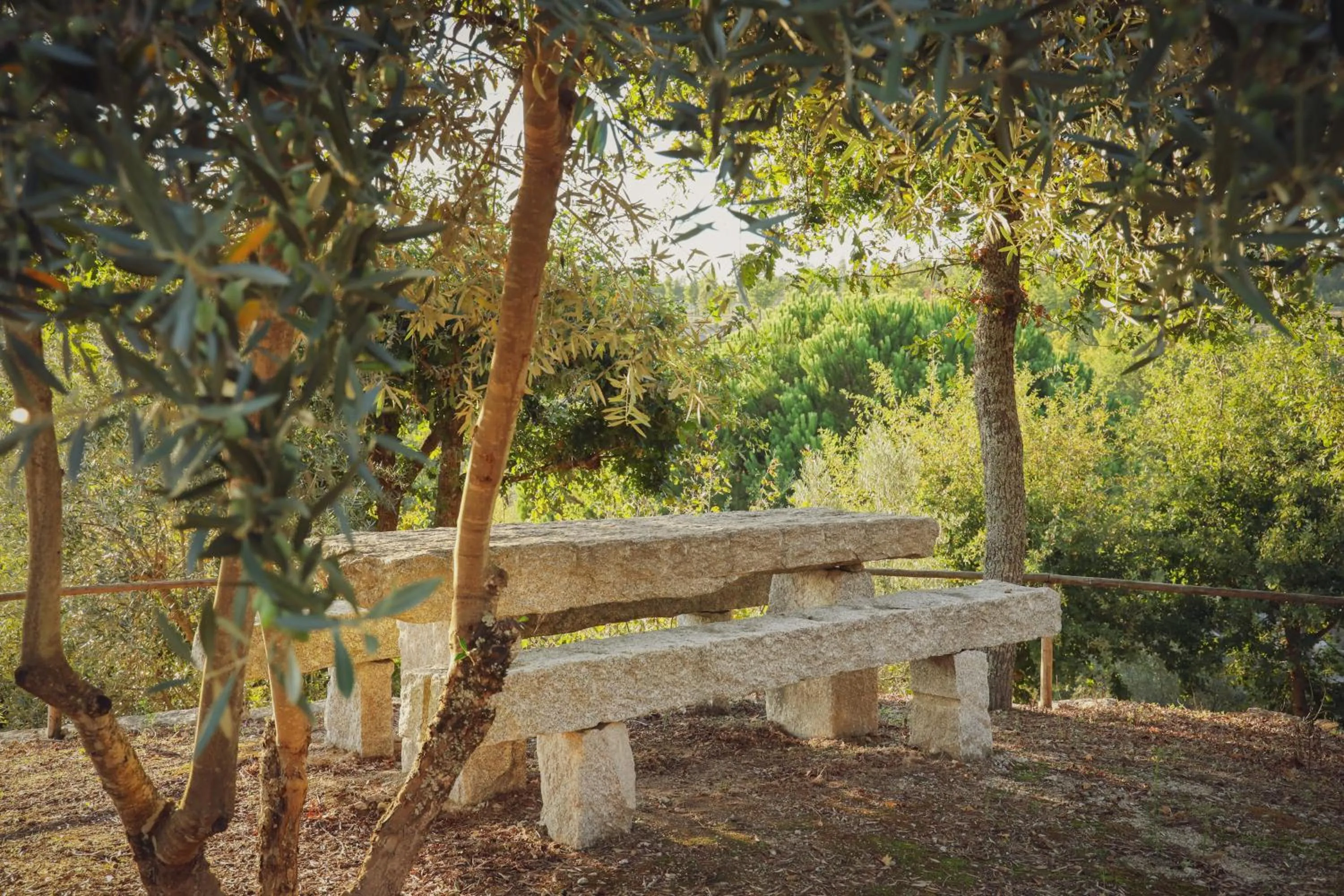 Garden in I Love Dão Casas Da Fraga