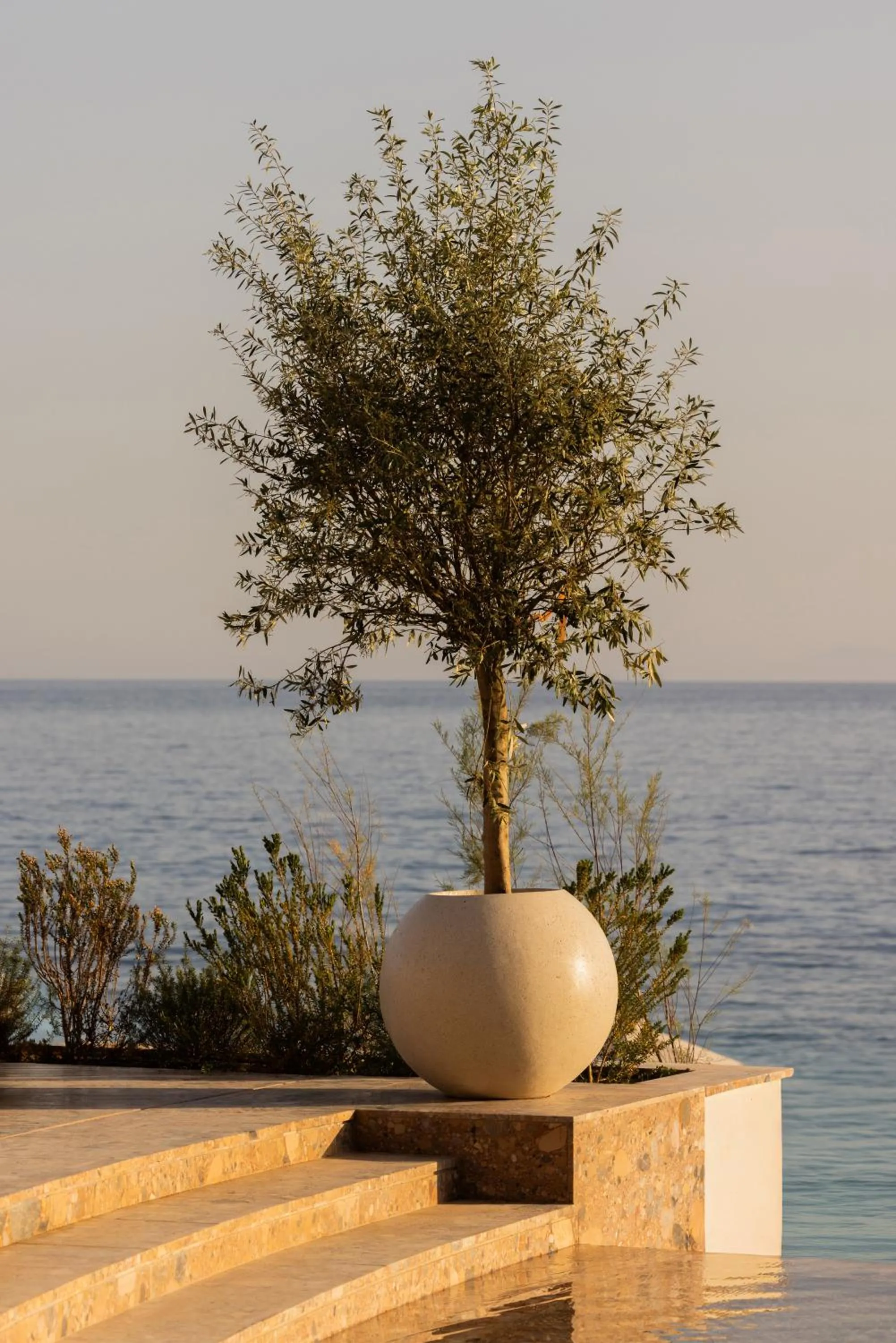 Pool view in Green Coast Hotel MGallery Collection