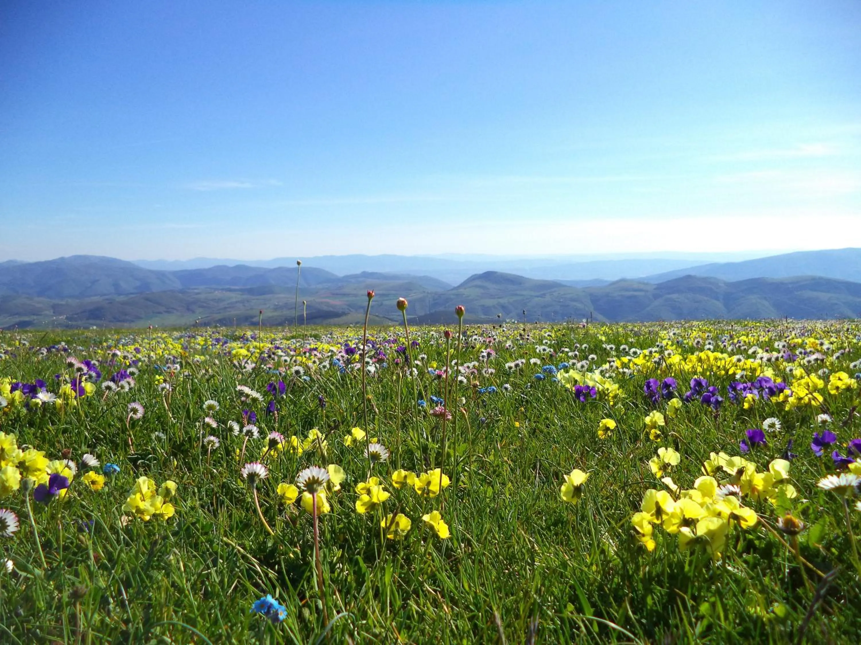Nearby landmark in Alba dei Due Soli B&B