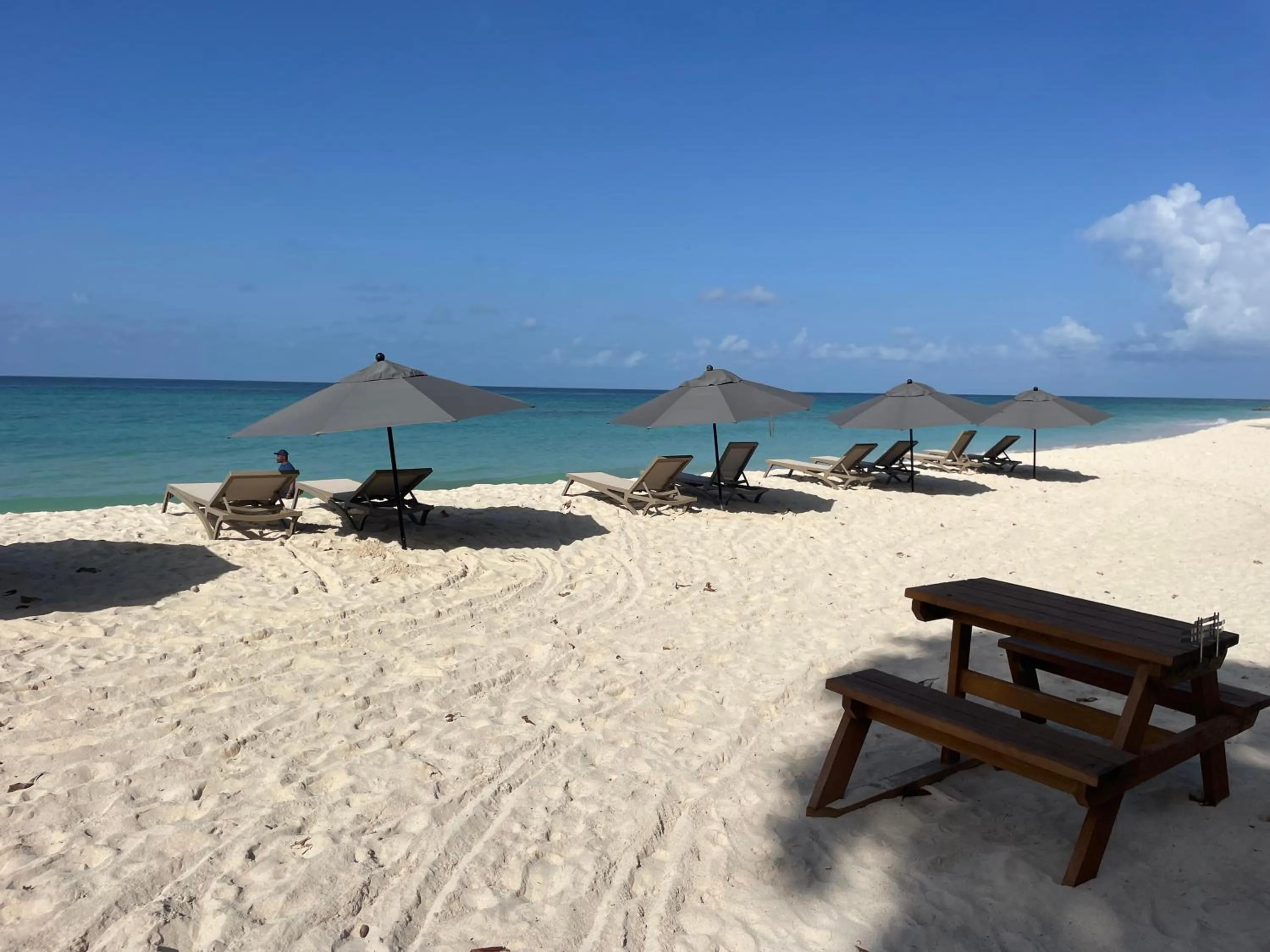 Restaurant/places to eat in Hôtel Le Roy