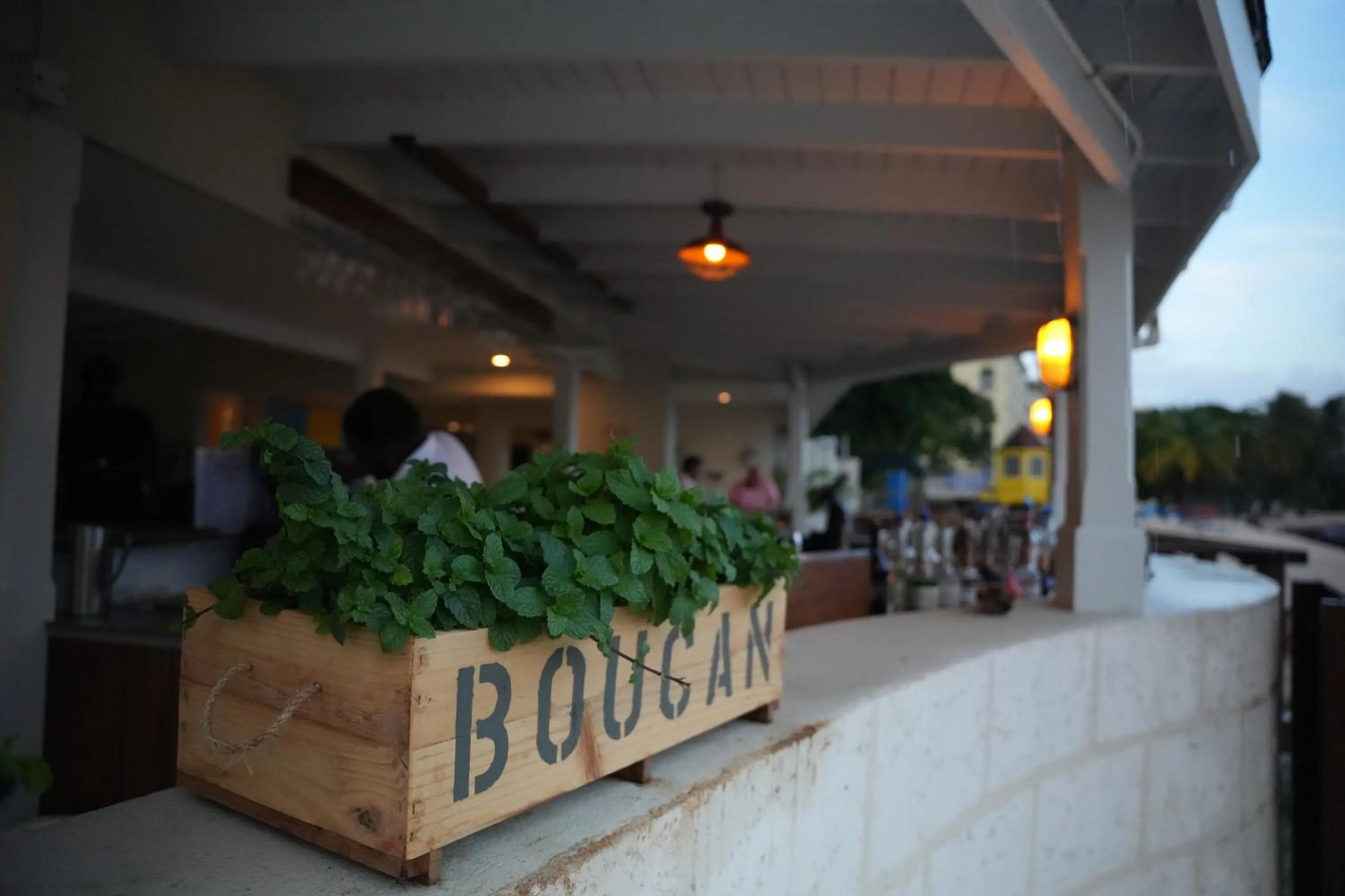 Restaurant/places to eat in Hôtel Le Roy