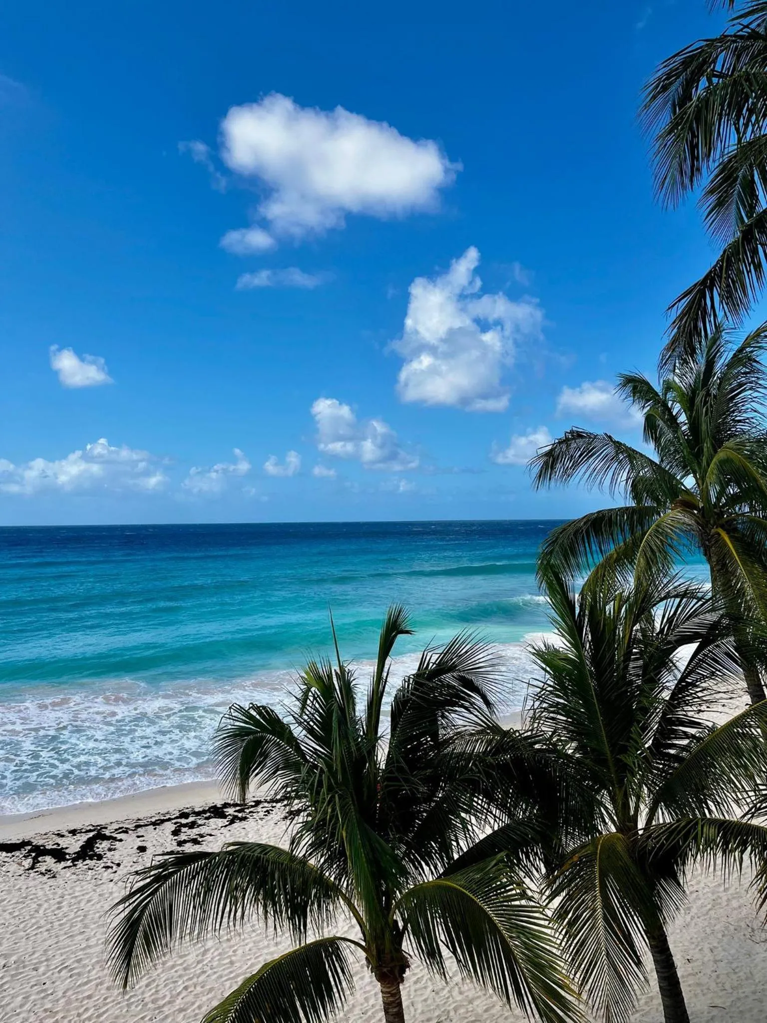 Natural landscape in Hôtel Le Roy