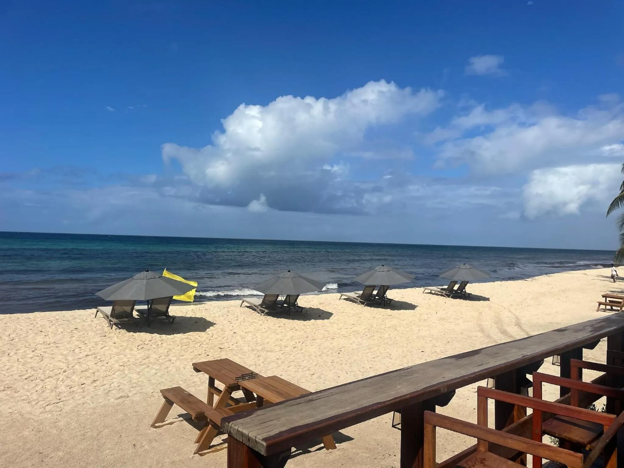 Beach in Hôtel Le Roy
