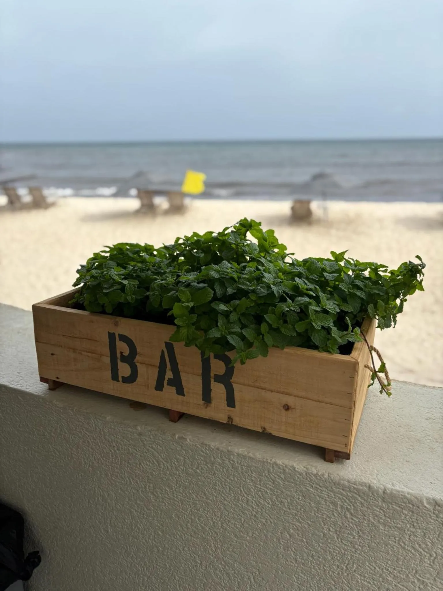 Property logo or sign in Hôtel Le Roy