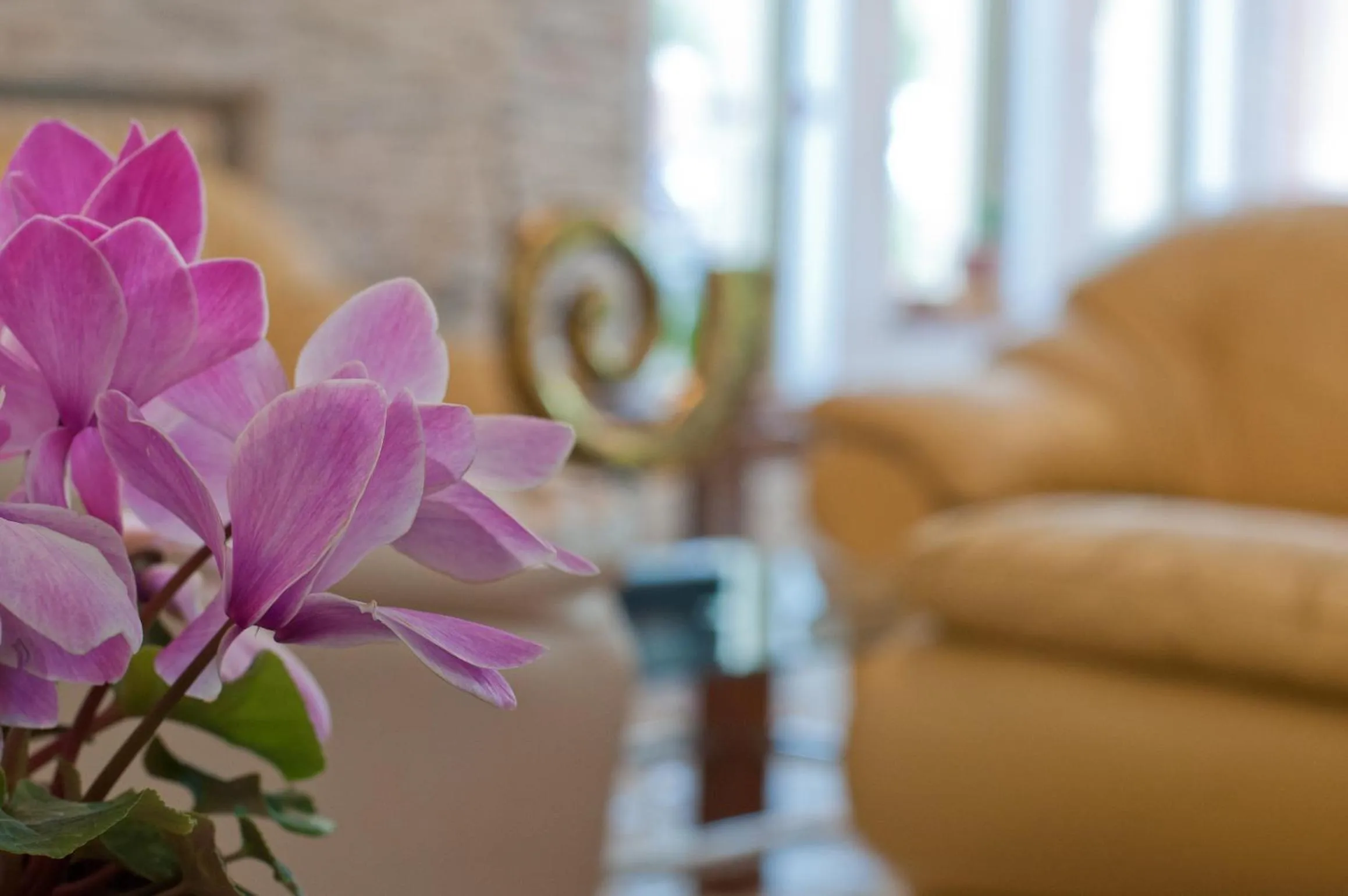 Communal lounge/ TV room in Albergo La Rosetta