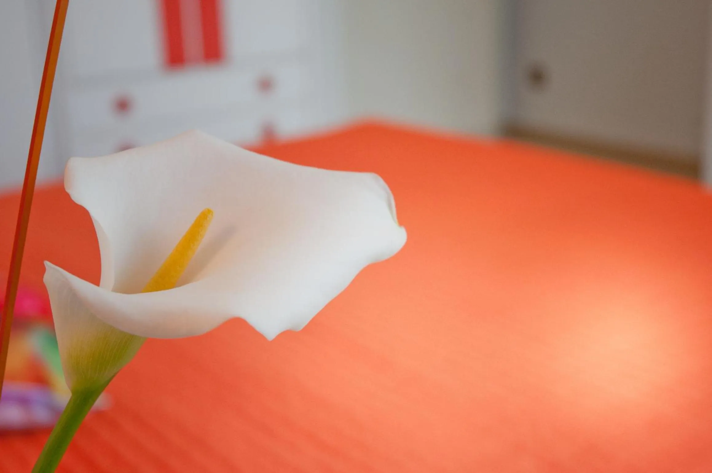 Bedroom in Albergo La Rosetta