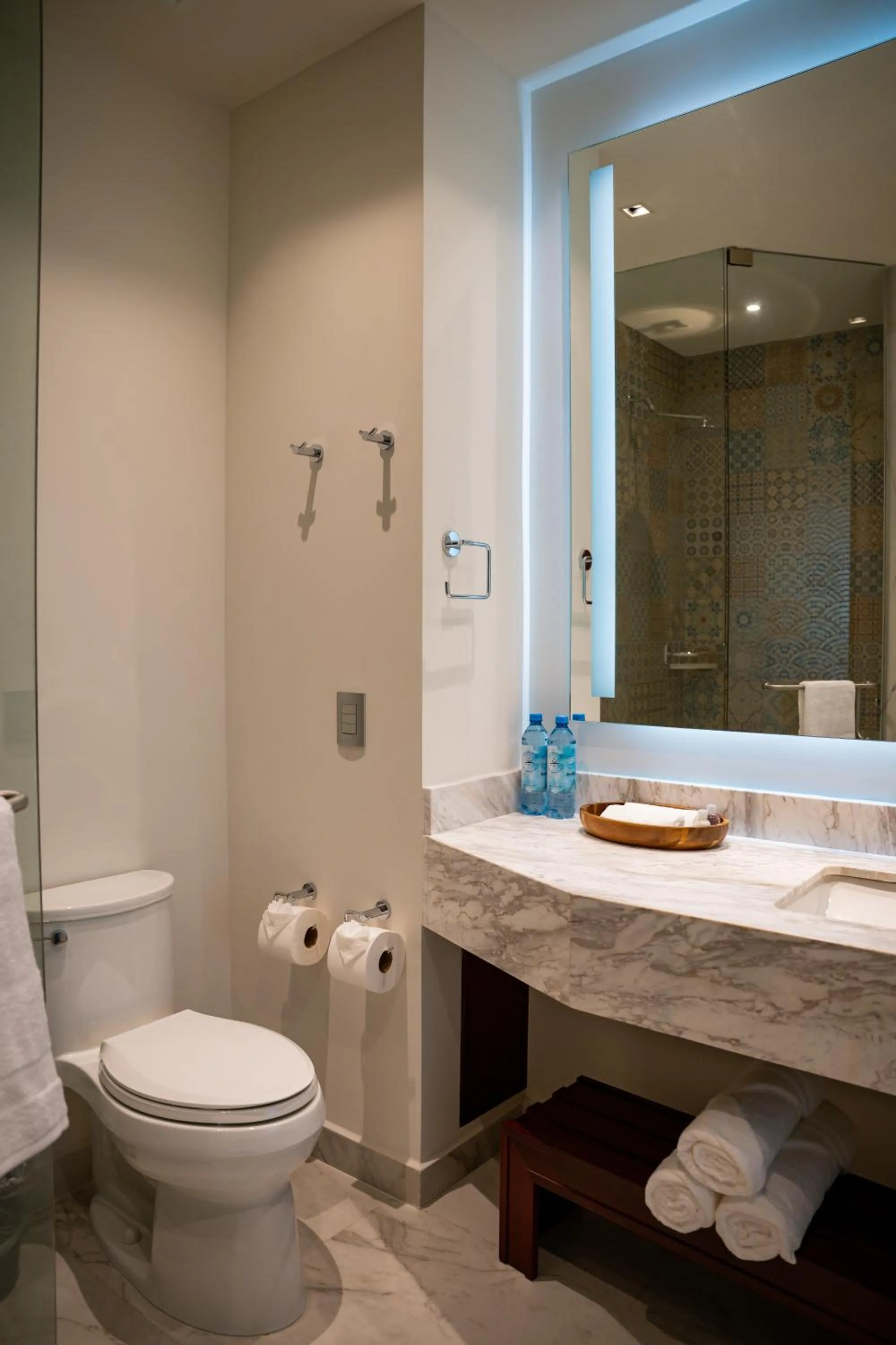 Toilet in Vallarta Live Hotel