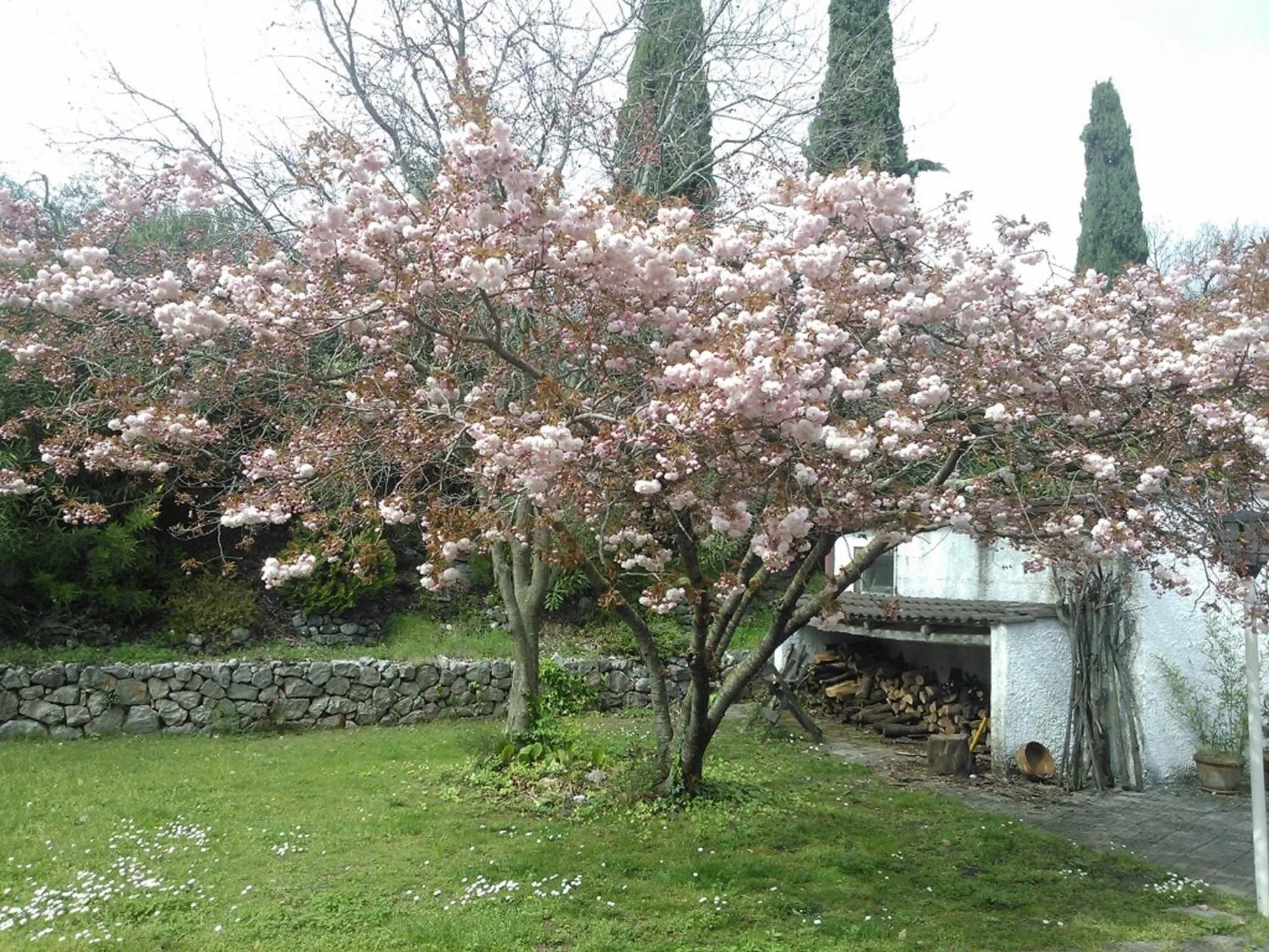 Garden in B&B Villa Ada