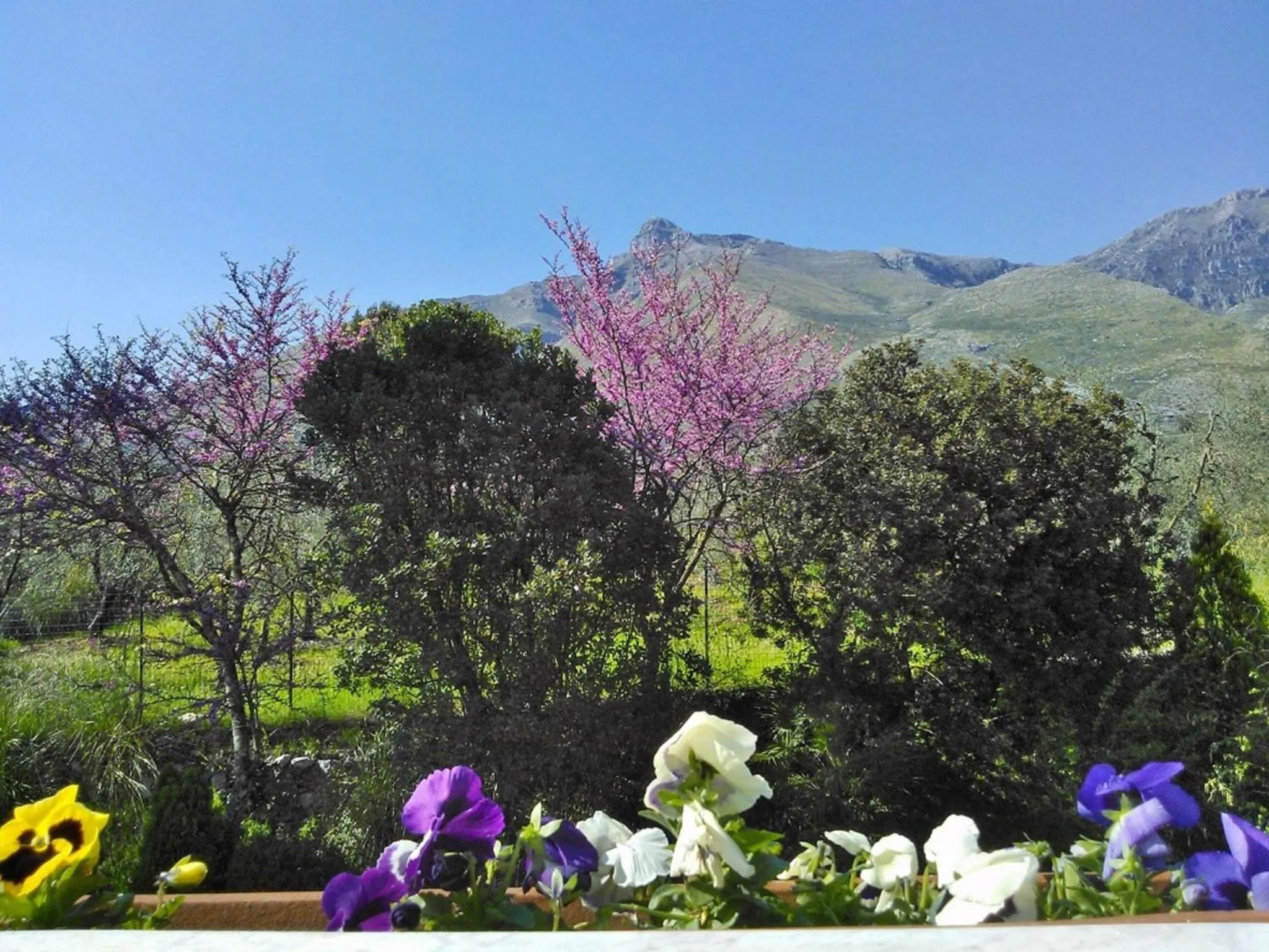 Mountain view in B&B Villa Ada