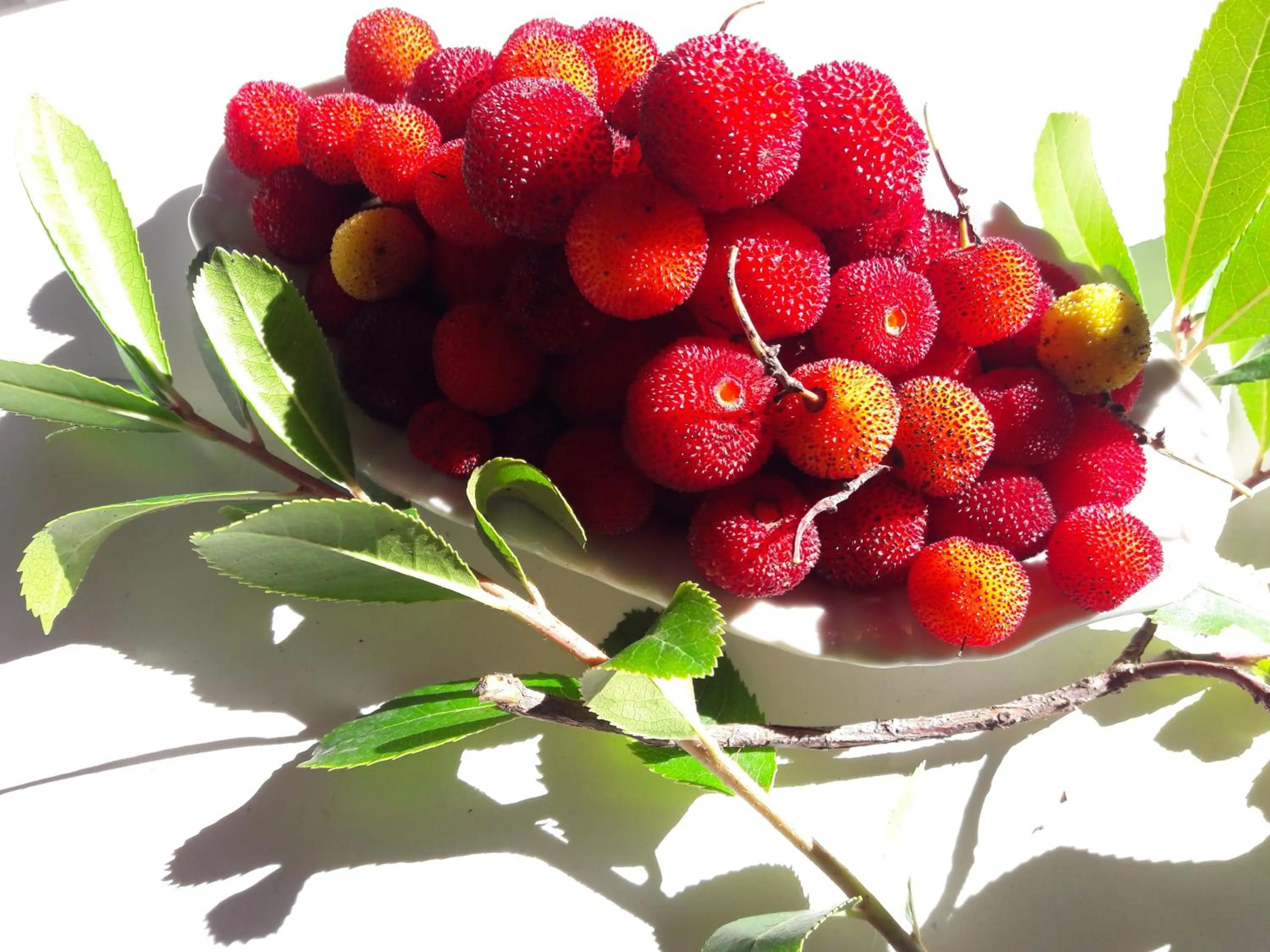 Food close-up in B&B Villa Ada