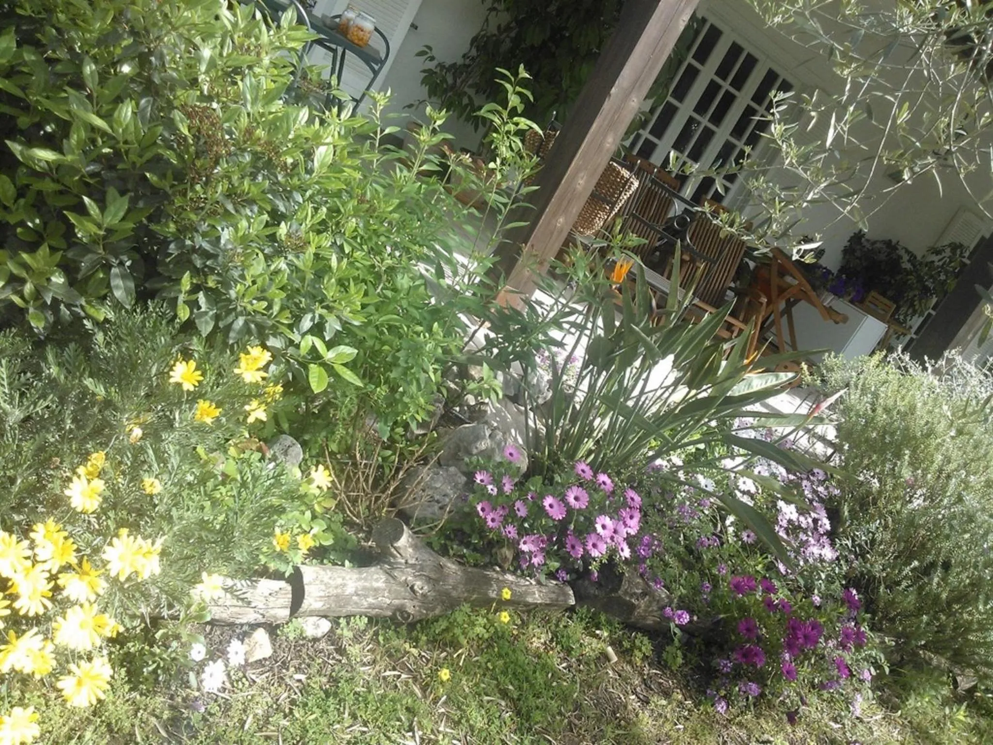 Patio in B&B Villa Ada