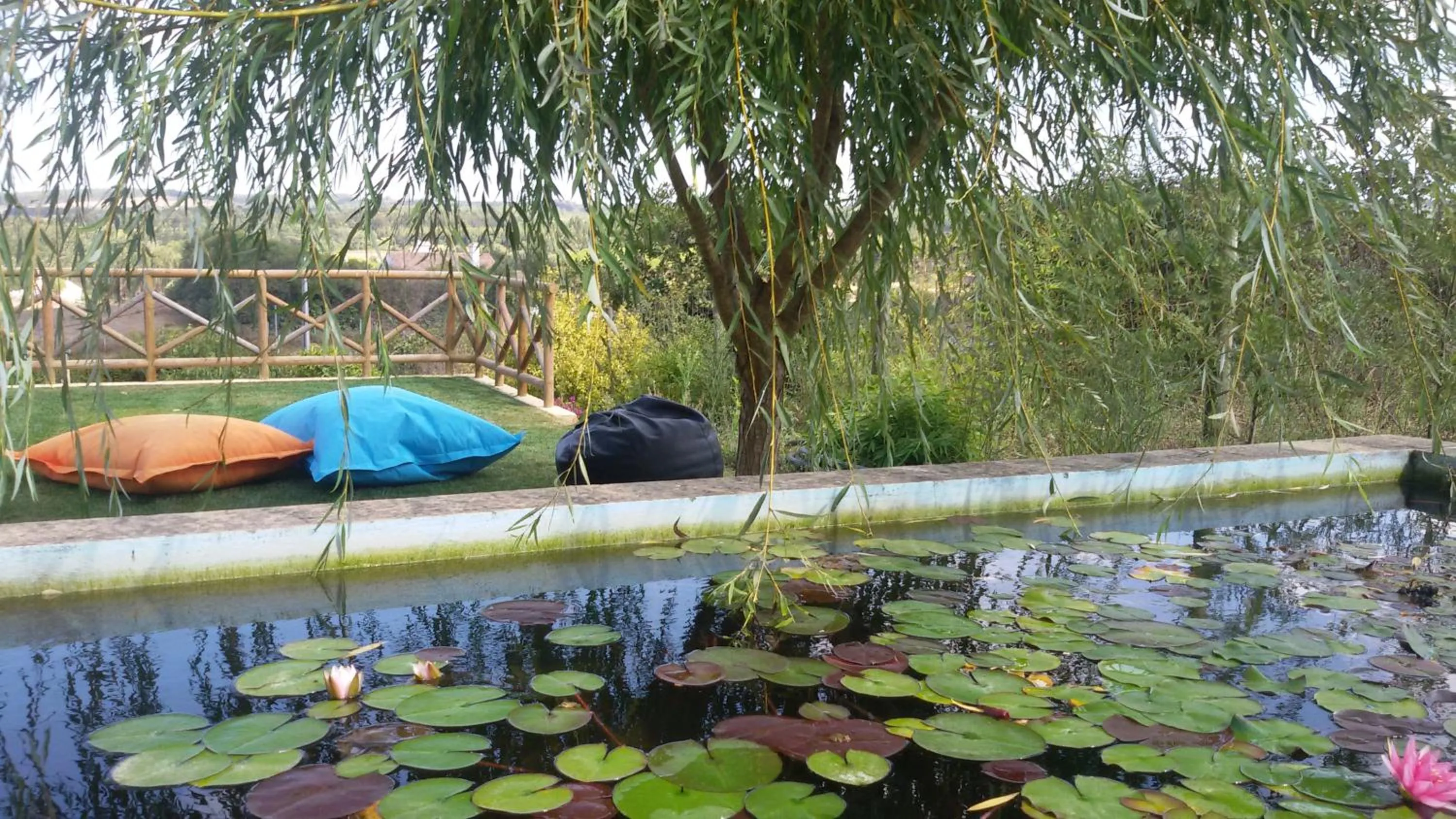 Garden in Monte Soalheiro
