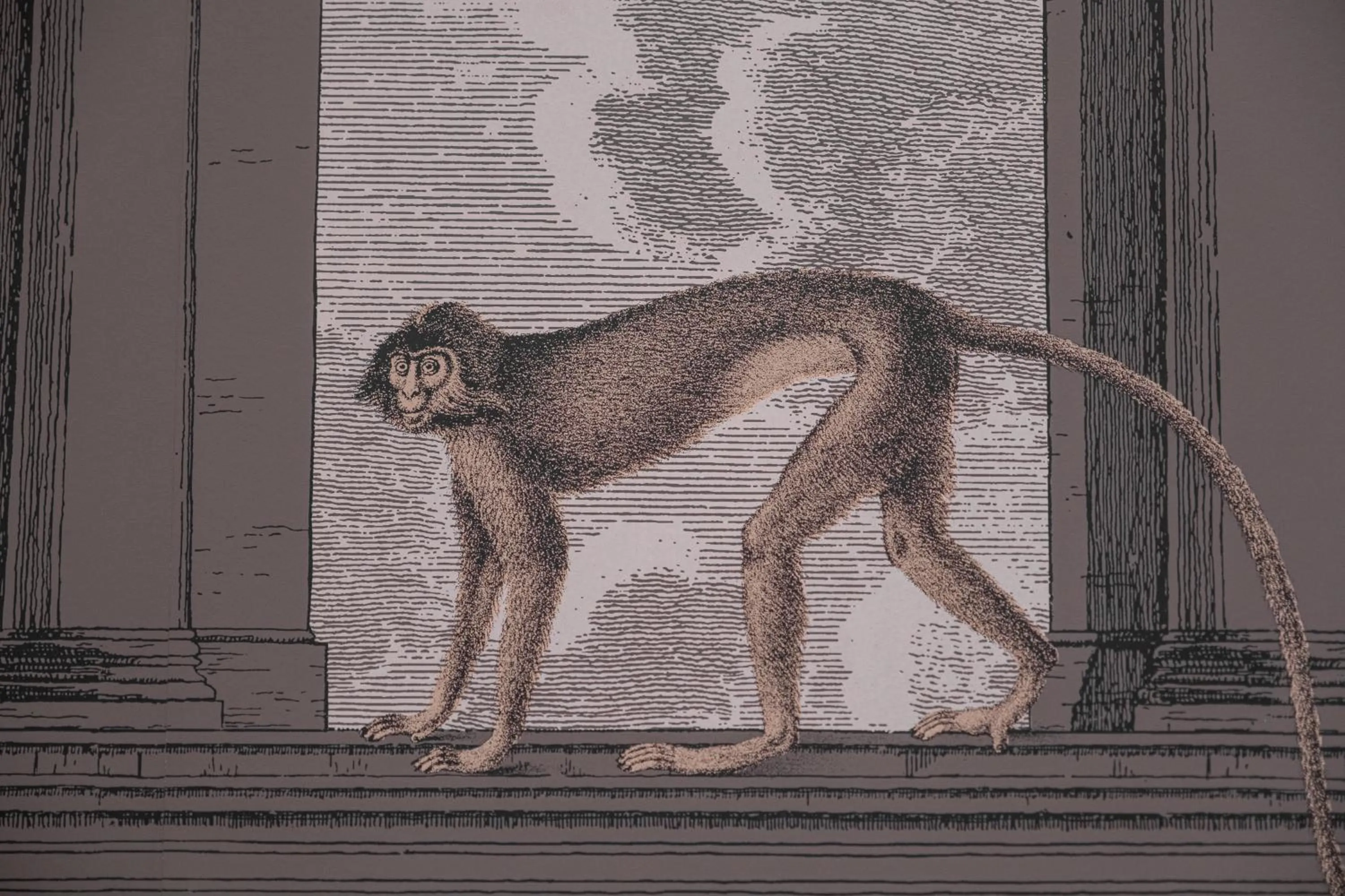 Decorative detail in Palazzo Sebeto