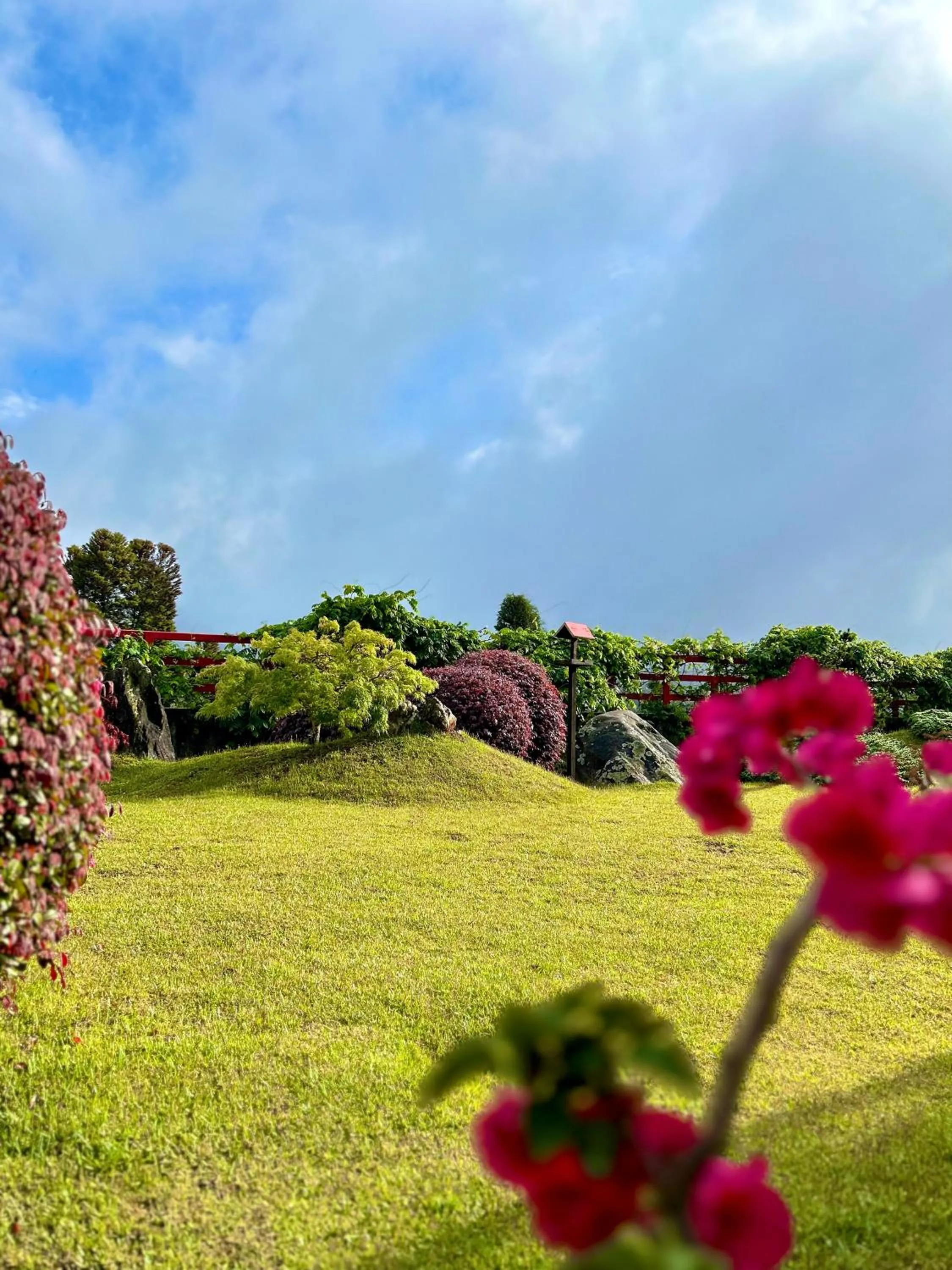 Garden in Matsubara Pousada