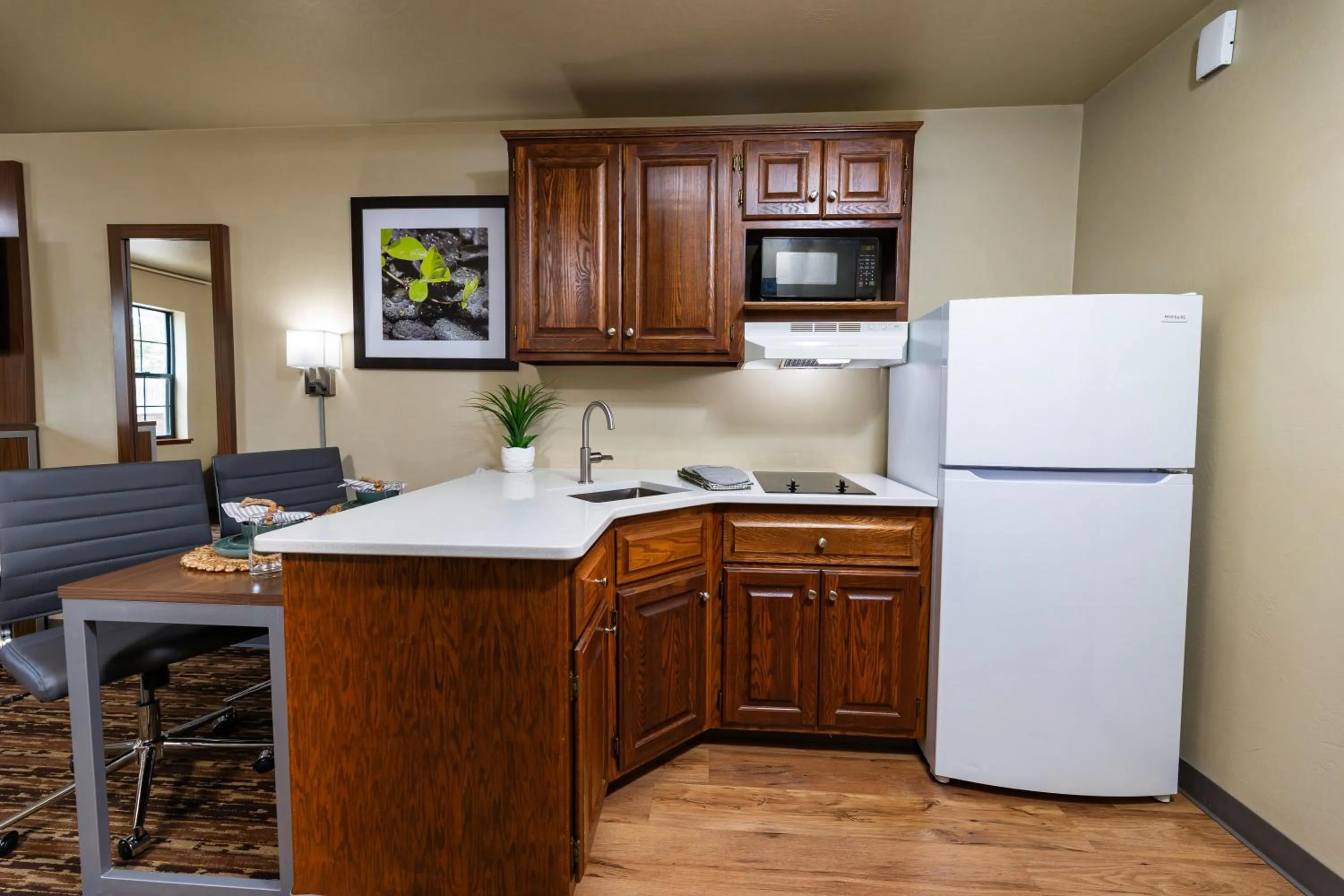 Kitchen or kitchenette in Extended Stay Airport