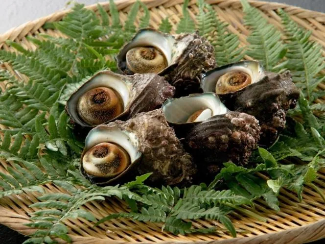 Hotel Kunitomi Suisennkaku