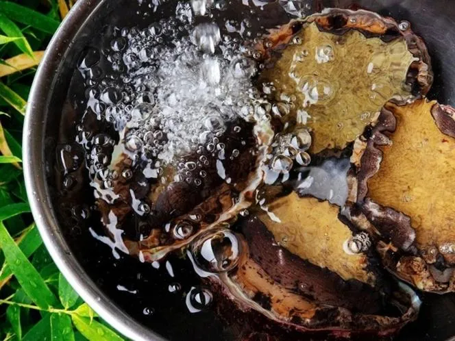 Hotel Kunitomi Suisennkaku