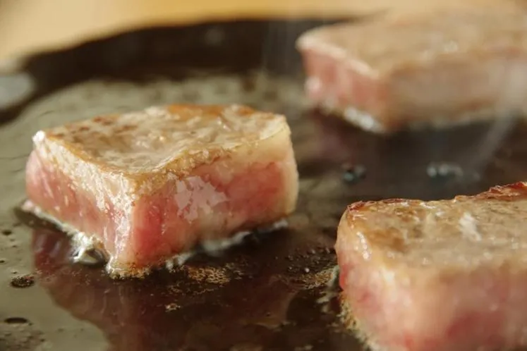 Hotel Kunitomi Suisennkaku