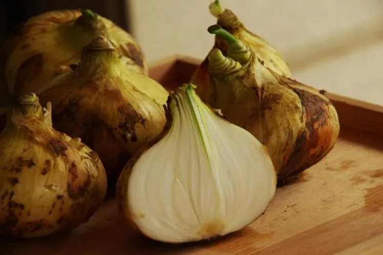 Hotel Kunitomi Suisennkaku