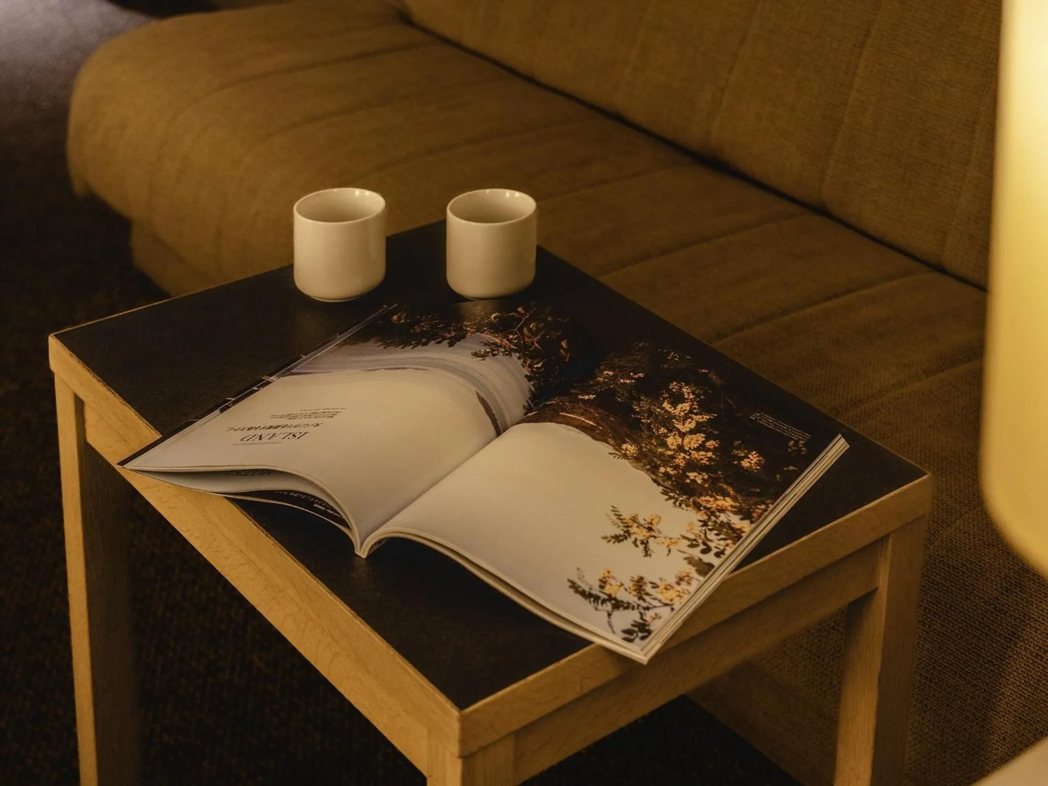 Photo of the whole room in KOKO HOTEL Tokyo Nishikasai