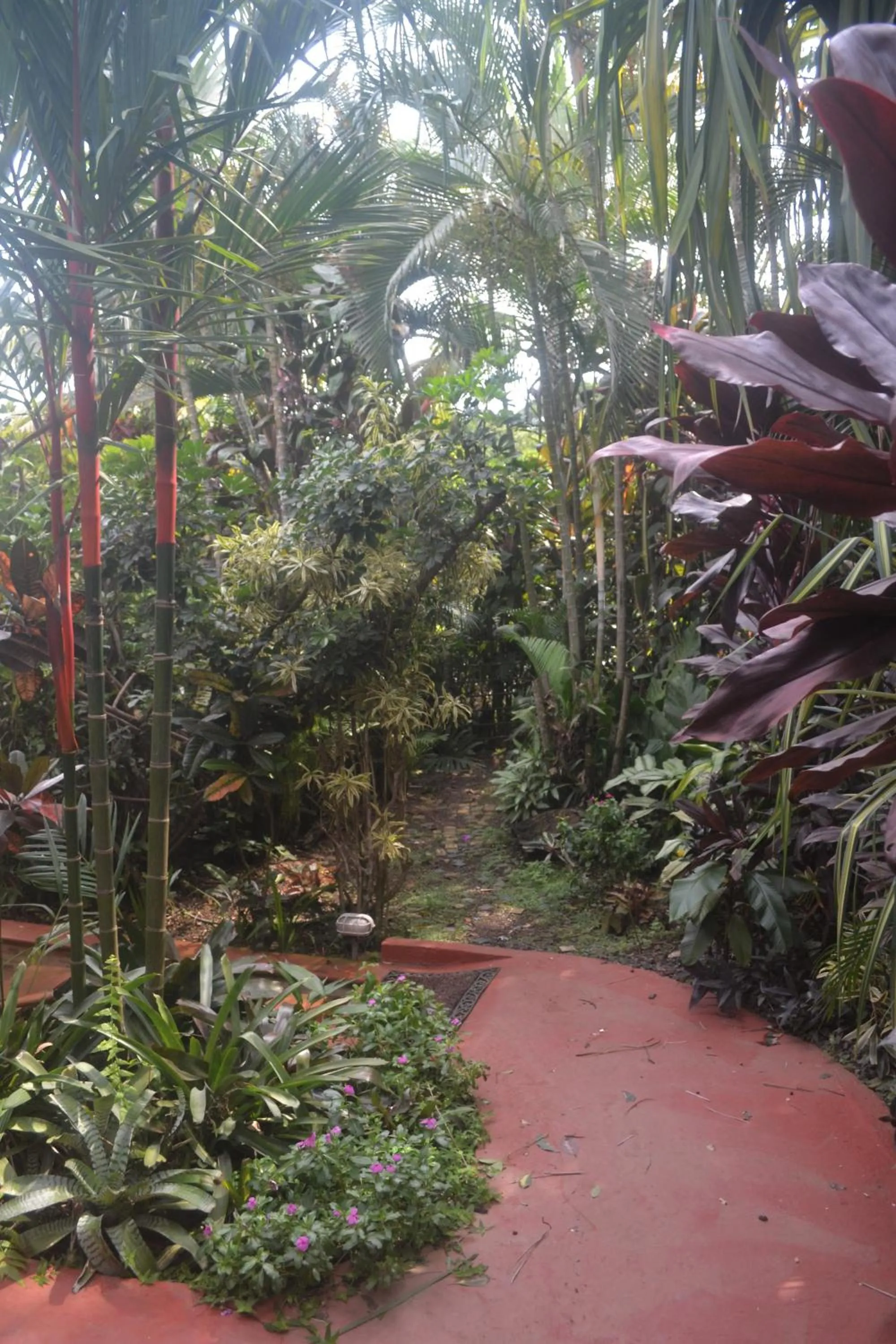 Garden in Eden Atenas Costa Rica