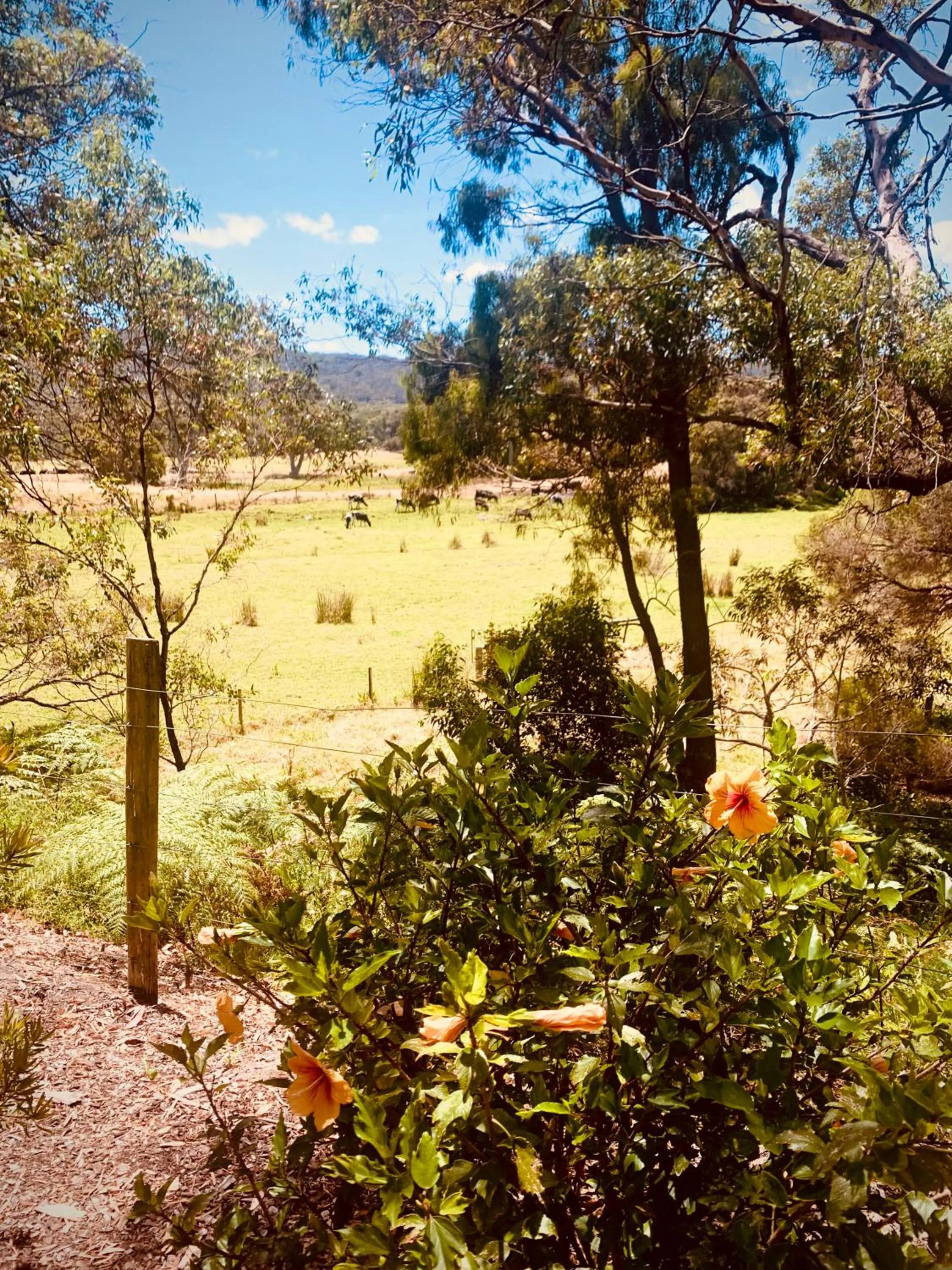 Spring Bay Villas, Denmark, WA