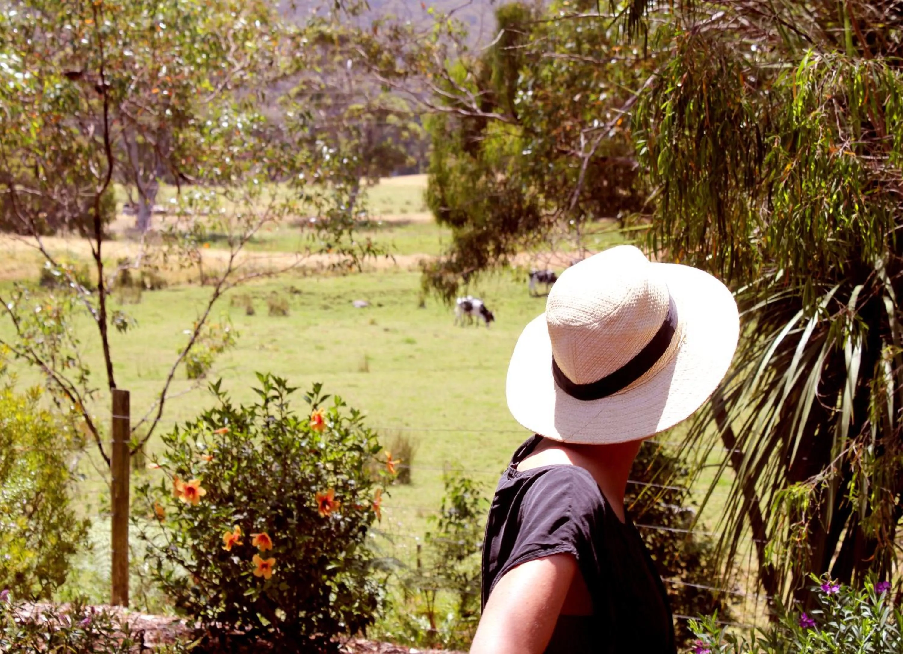 Spring Bay Villas, Denmark, WA