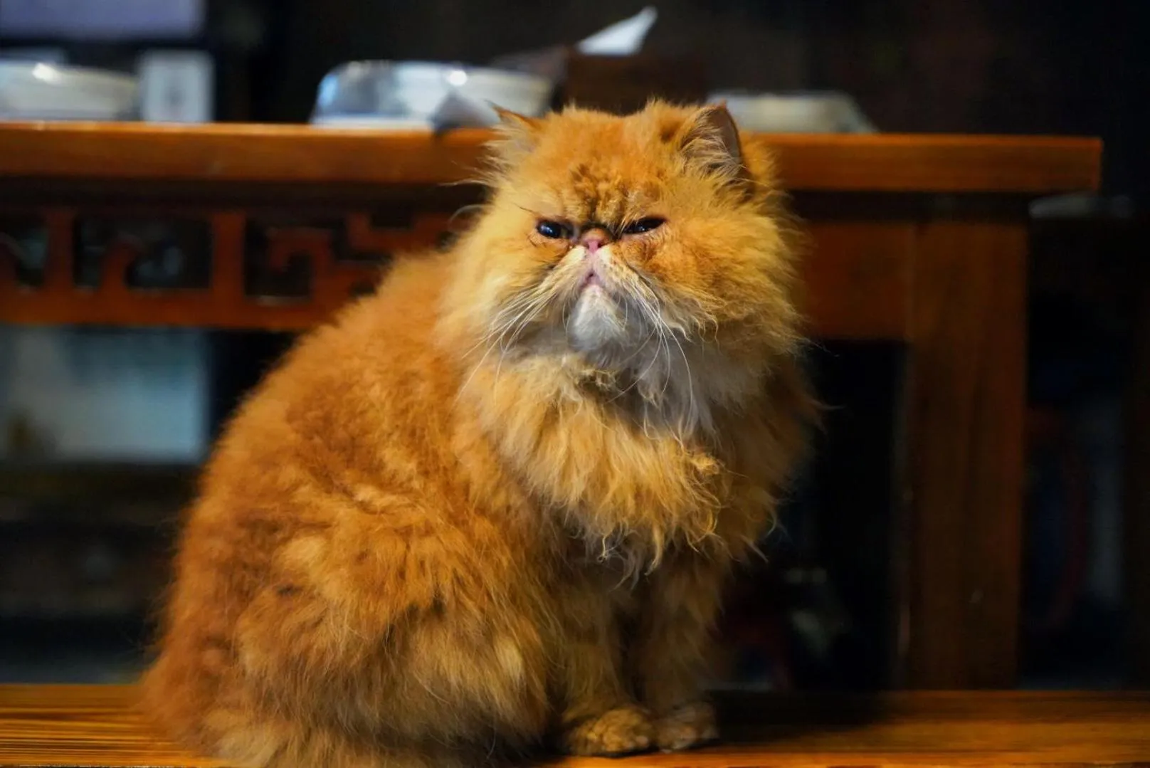 September Huizhou Inn