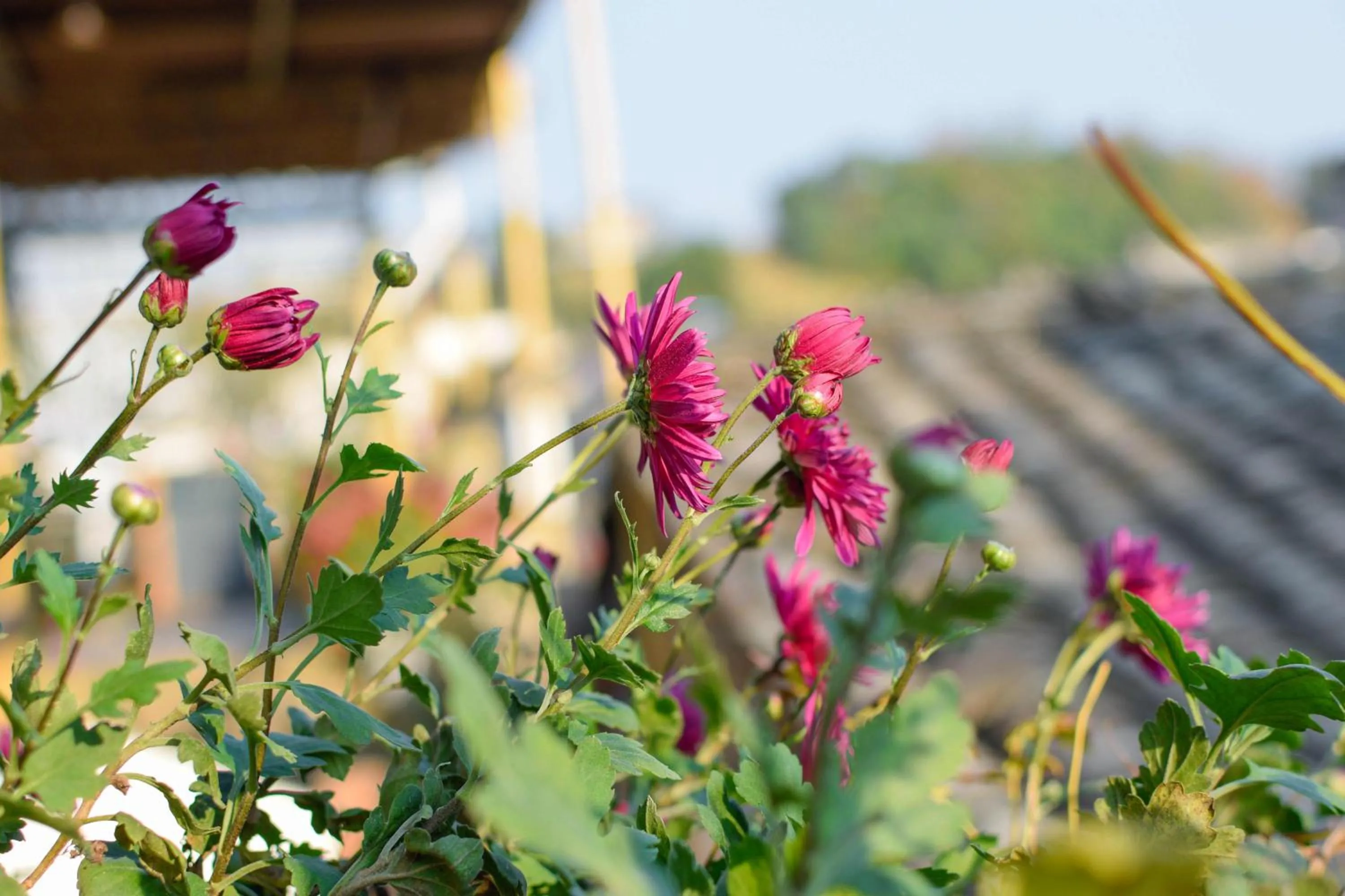 September Huizhou Inn