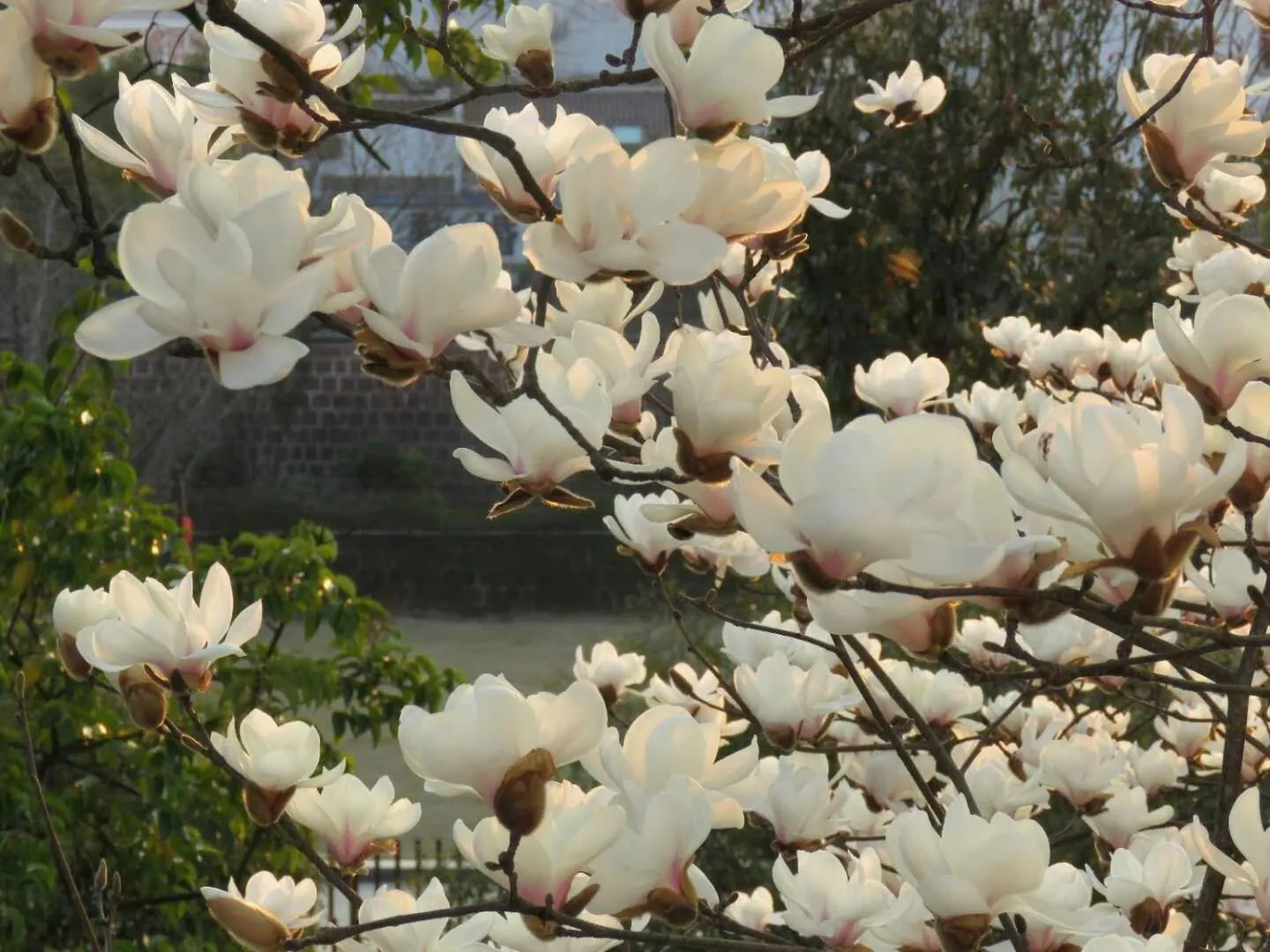 Decorative detail in September Huizhou Inn