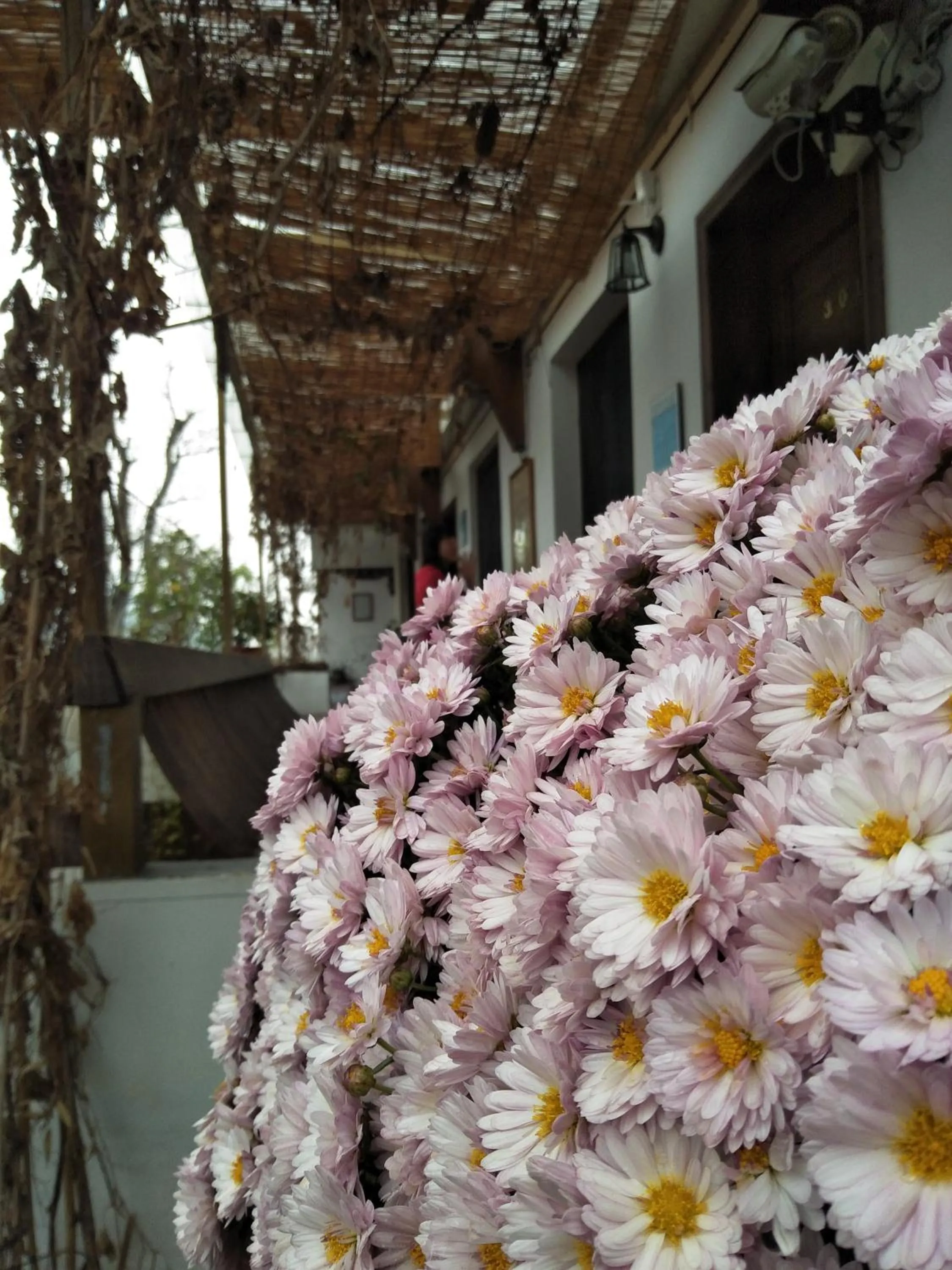 Balcony/Terrace in September Huizhou Inn