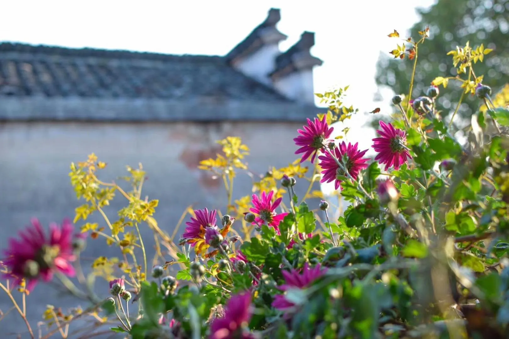 September Huizhou Inn