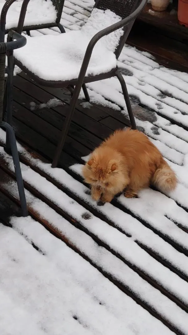 September Huizhou Inn