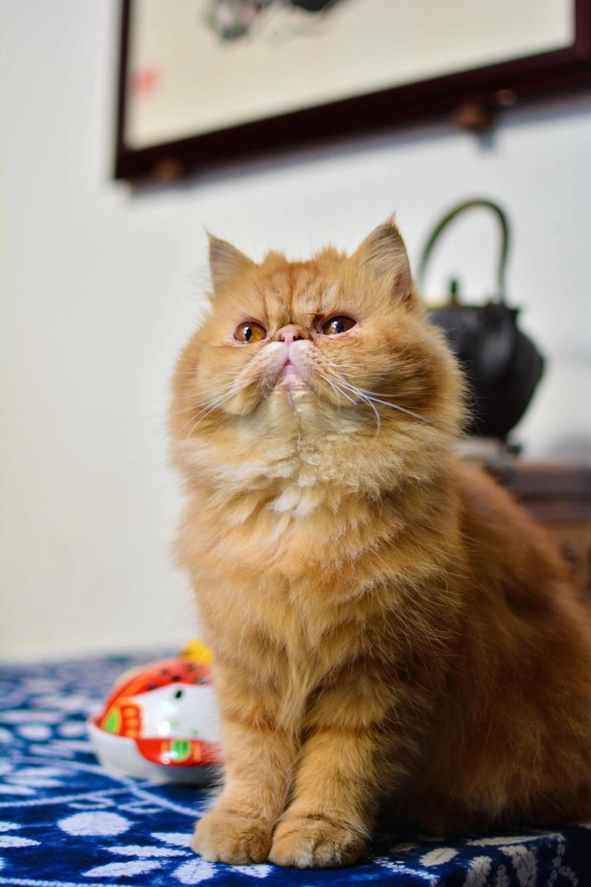 September Huizhou Inn