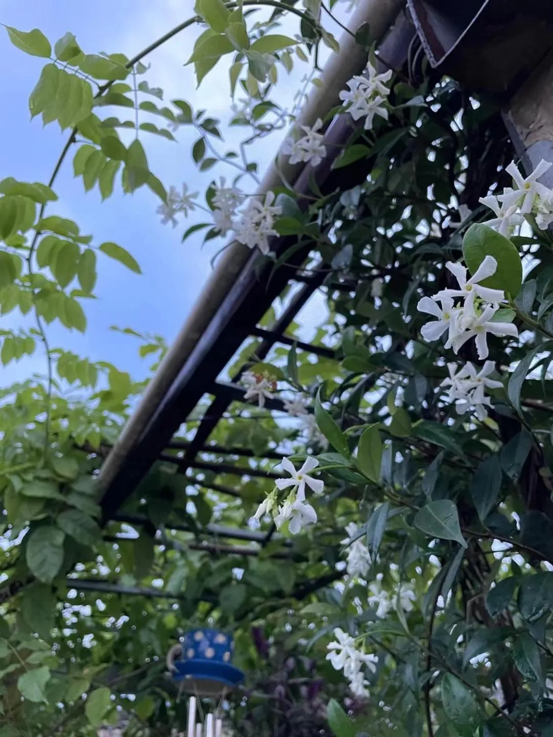 September Huizhou Inn