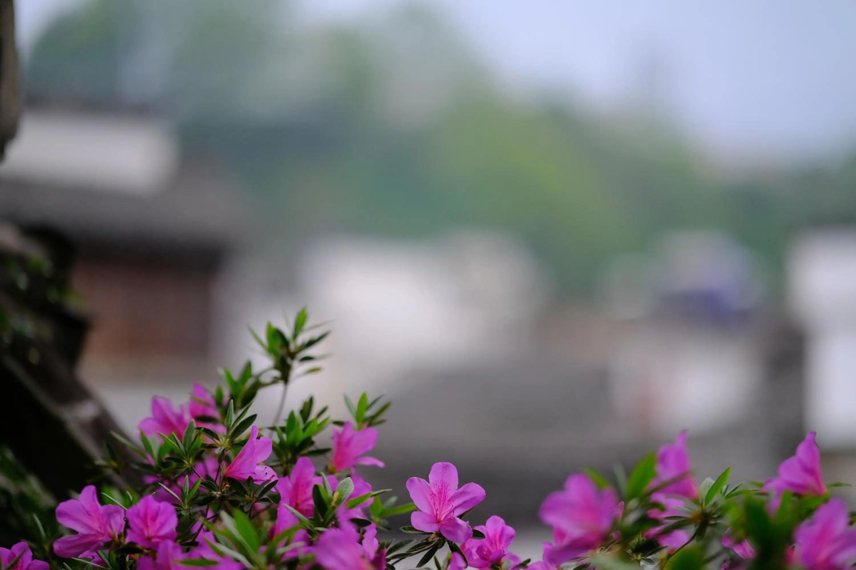 September Huizhou Inn