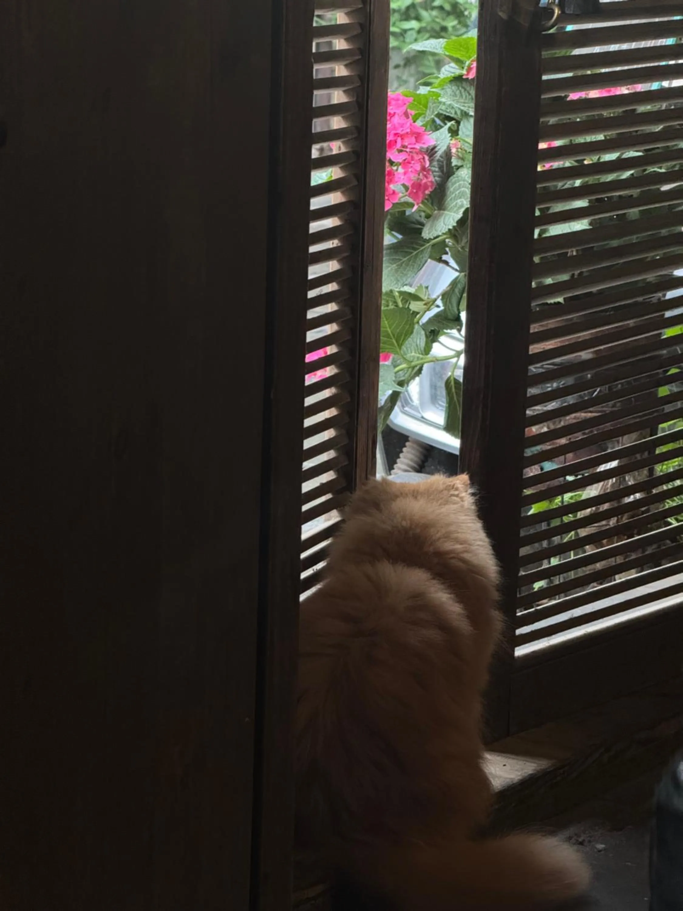 Property building in September Huizhou Inn