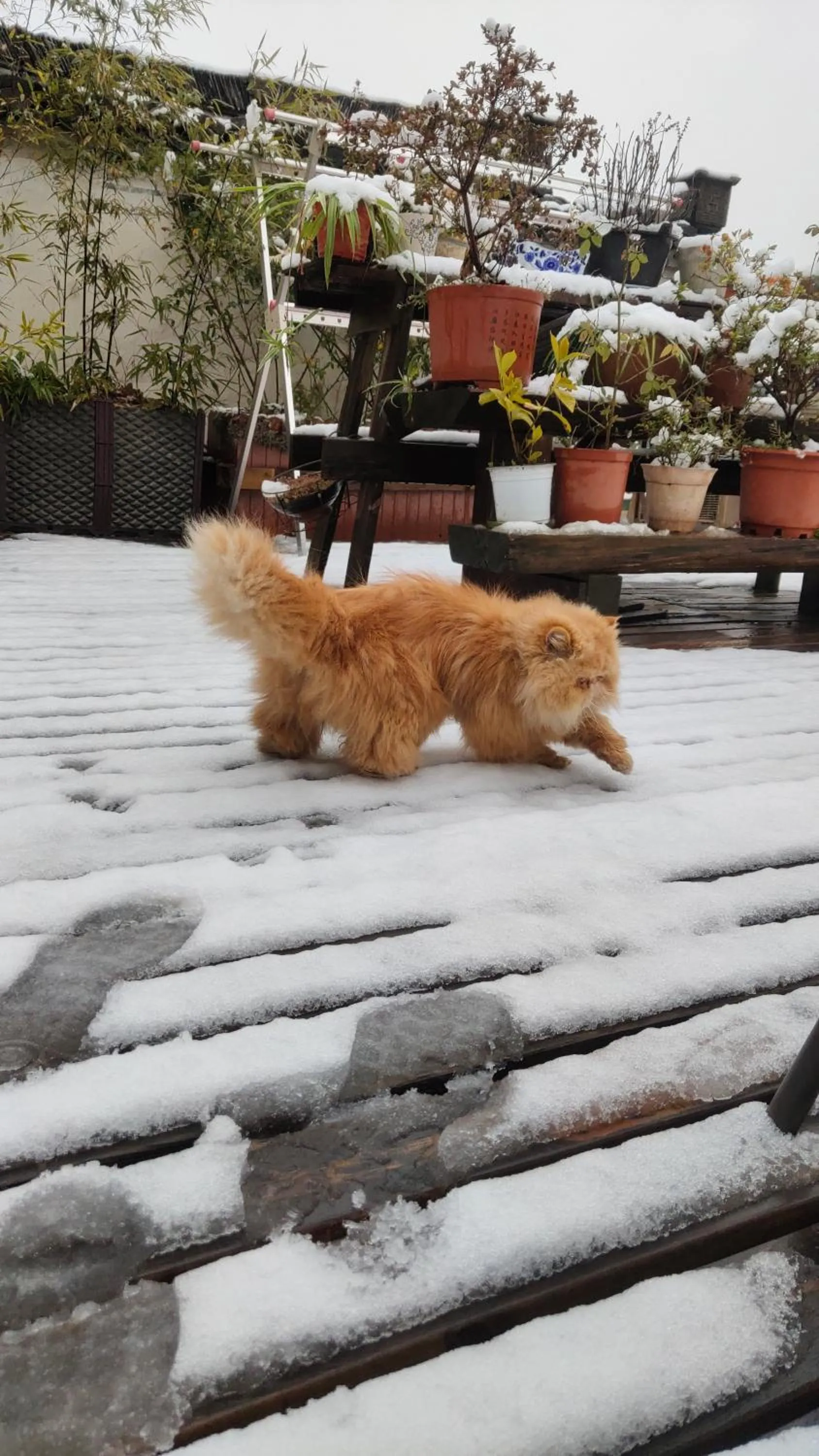 September Huizhou Inn