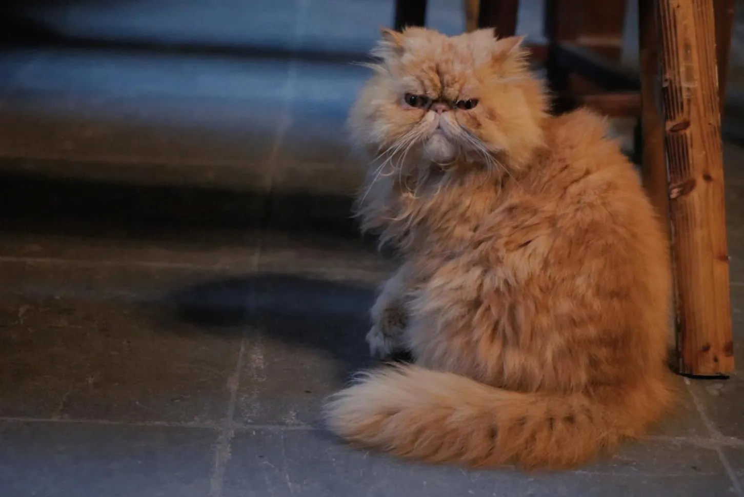 September Huizhou Inn