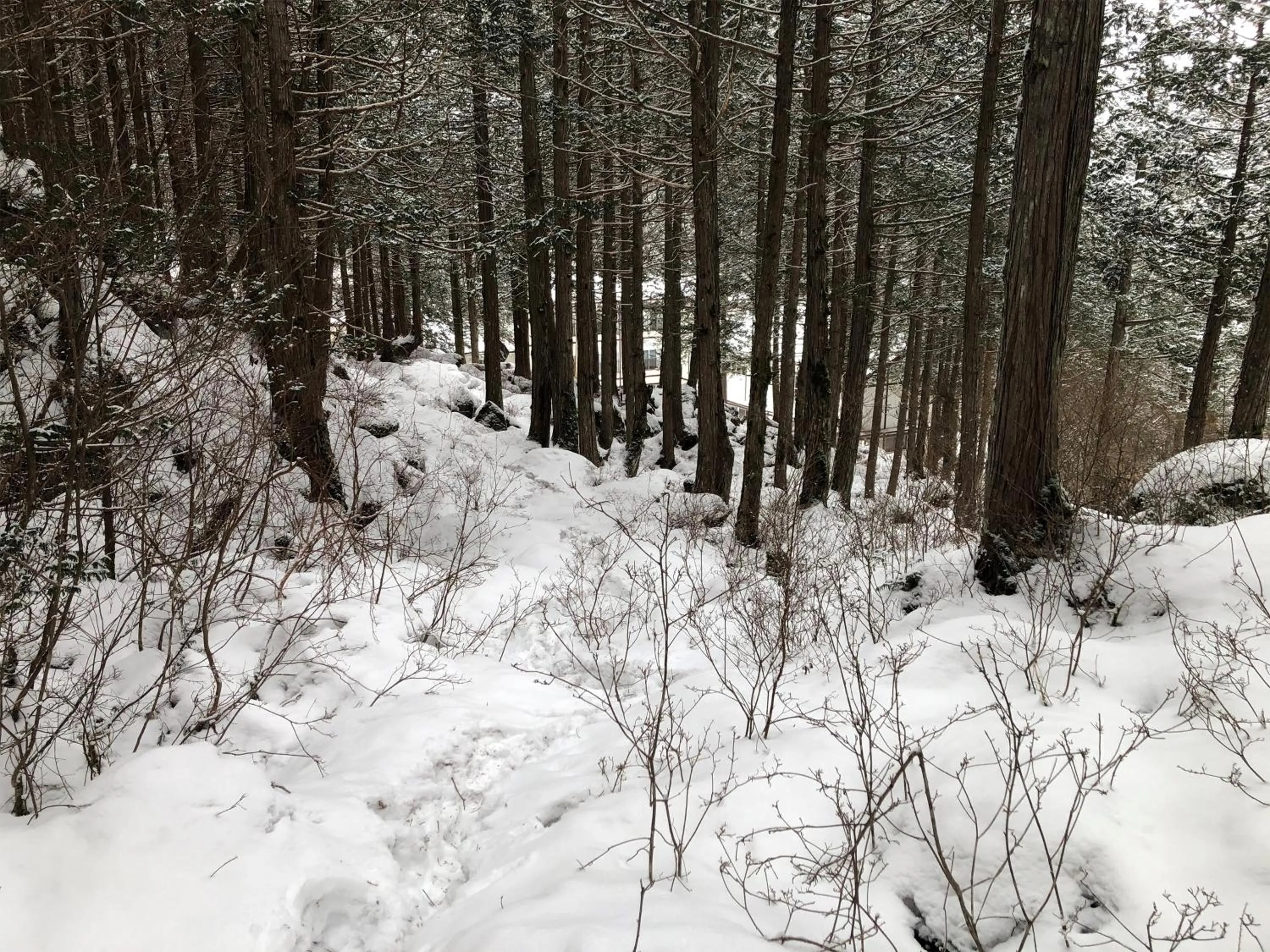 Seasons in Yama no Yado Meiji Onsen