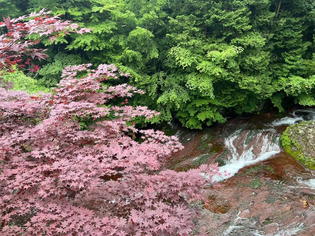 Yama no Yado Meiji Onsen