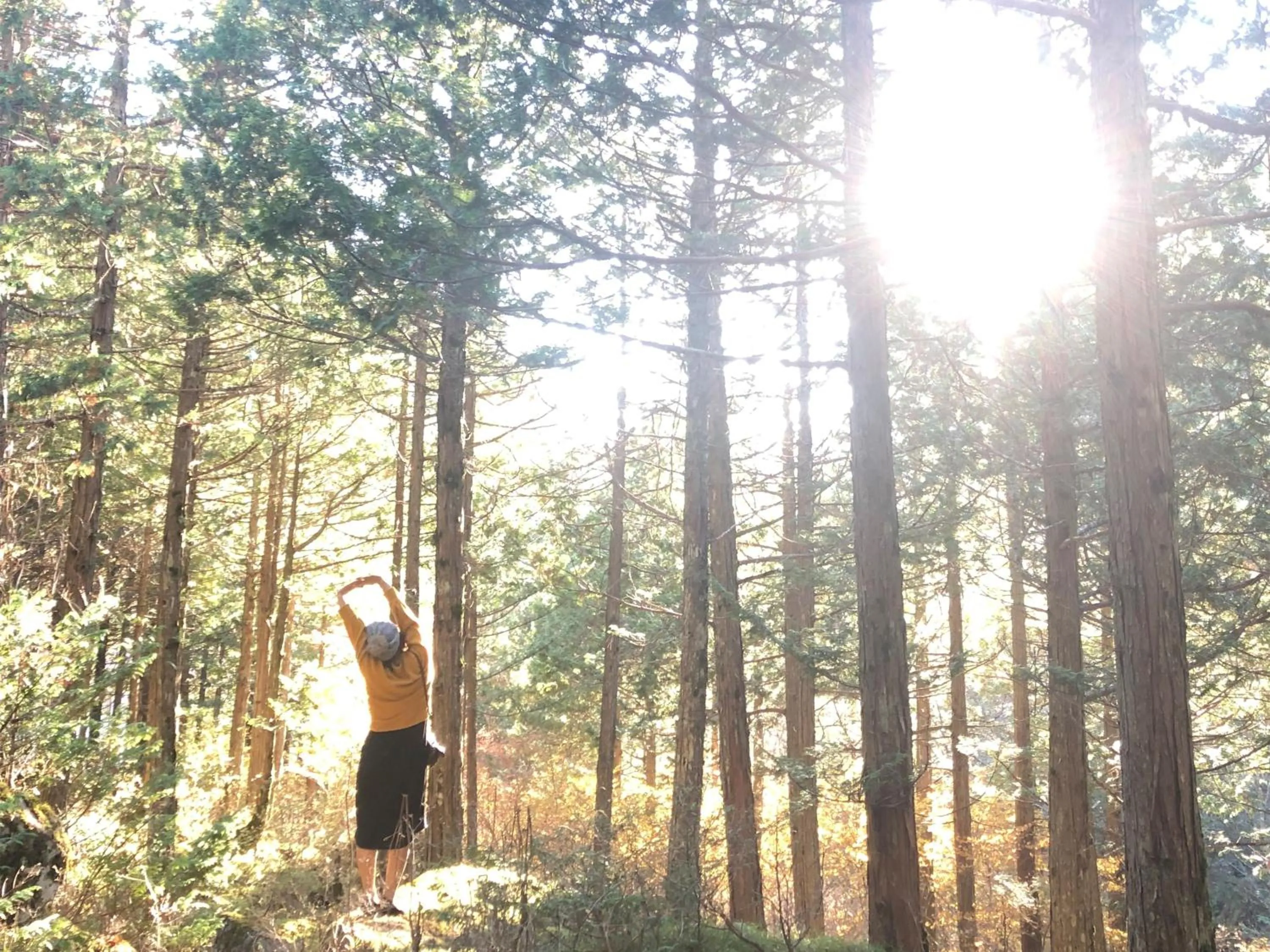 Off site in Yama no Yado Meiji Onsen