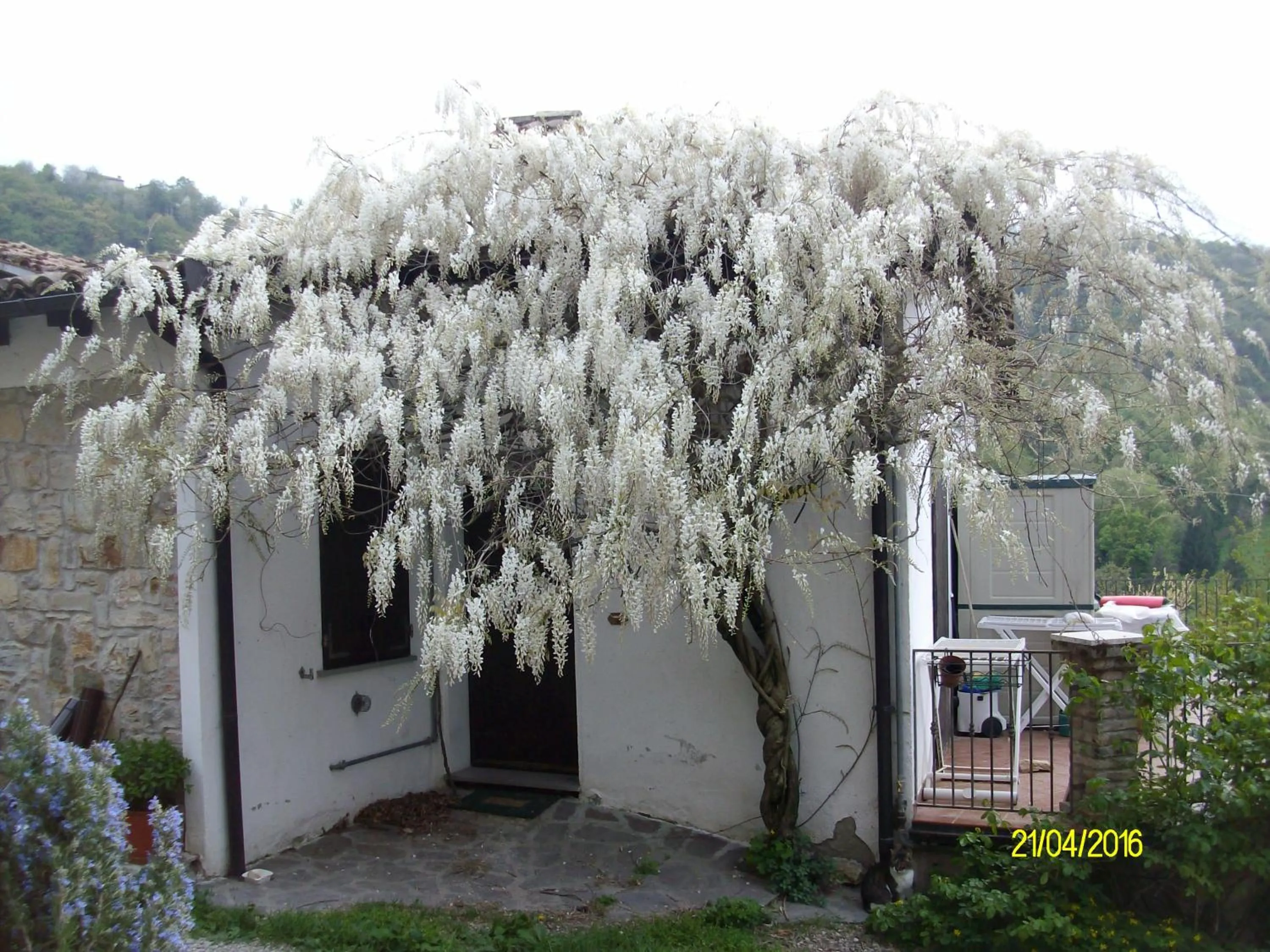Street view in B&b San Nicola